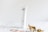 A white tube of beauty cream labeled 'Crystalweed' is standing on a white marble surface. Next to the tube is a dried branch with curled brown leaves and a partial view of a booklet or brochure featuring a close-up image of an eye. The background is a soft, neutral tone.