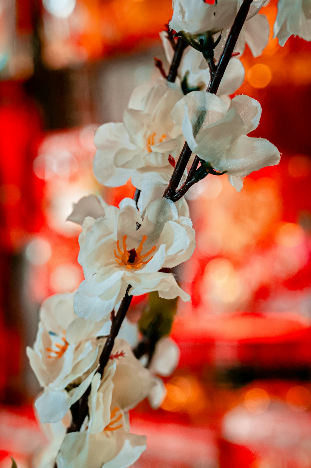 white flowers in tilt shift lens