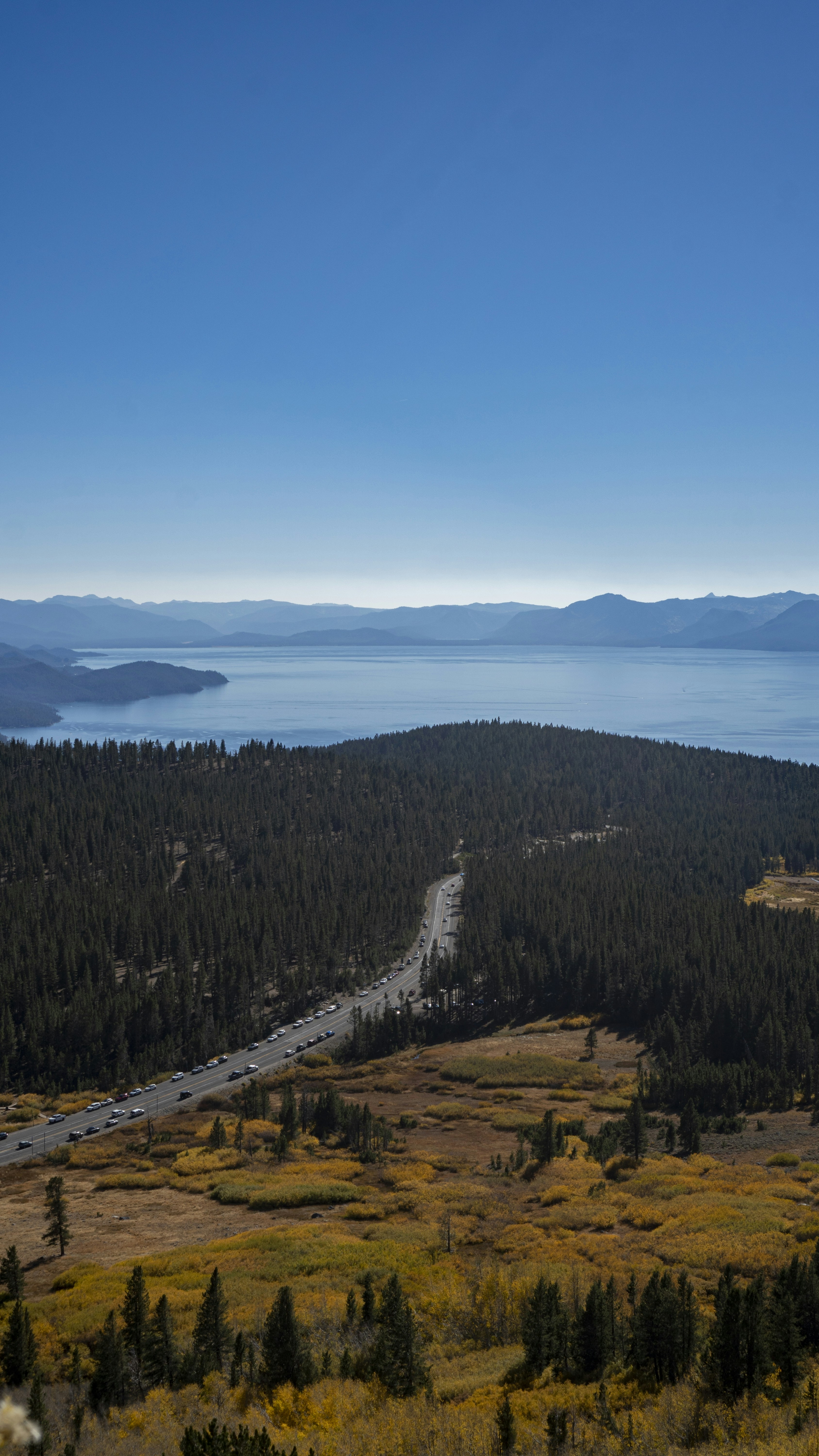 green pine trees near body of water during daytime