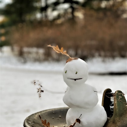 white snowman on snow covered ground during daytime