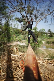 A person balances skillfully on a slackline suspended between two points, surrounded by lush greenery and trees. The scene is set in an outdoor natural environment with a mix of dried leaves and vibrant plants. The background shows a clear sky and distant foliage.