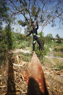 A person balances skillfully on a slackline suspended between two points, surrounded by lush greenery and trees. The scene is set in an outdoor natural environment with a mix of dried leaves and vibrant plants. The background shows a clear sky and distant foliage.
