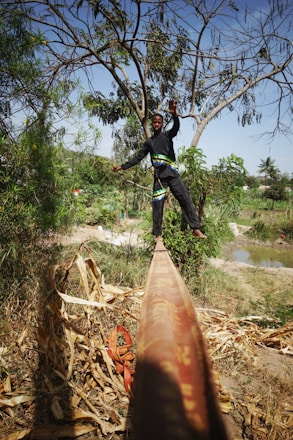 A person balances skillfully on a slackline suspended between two points, surrounded by lush greenery and trees. The scene is set in an outdoor natural environment with a mix of dried leaves and vibrant plants. The background shows a clear sky and distant foliage.