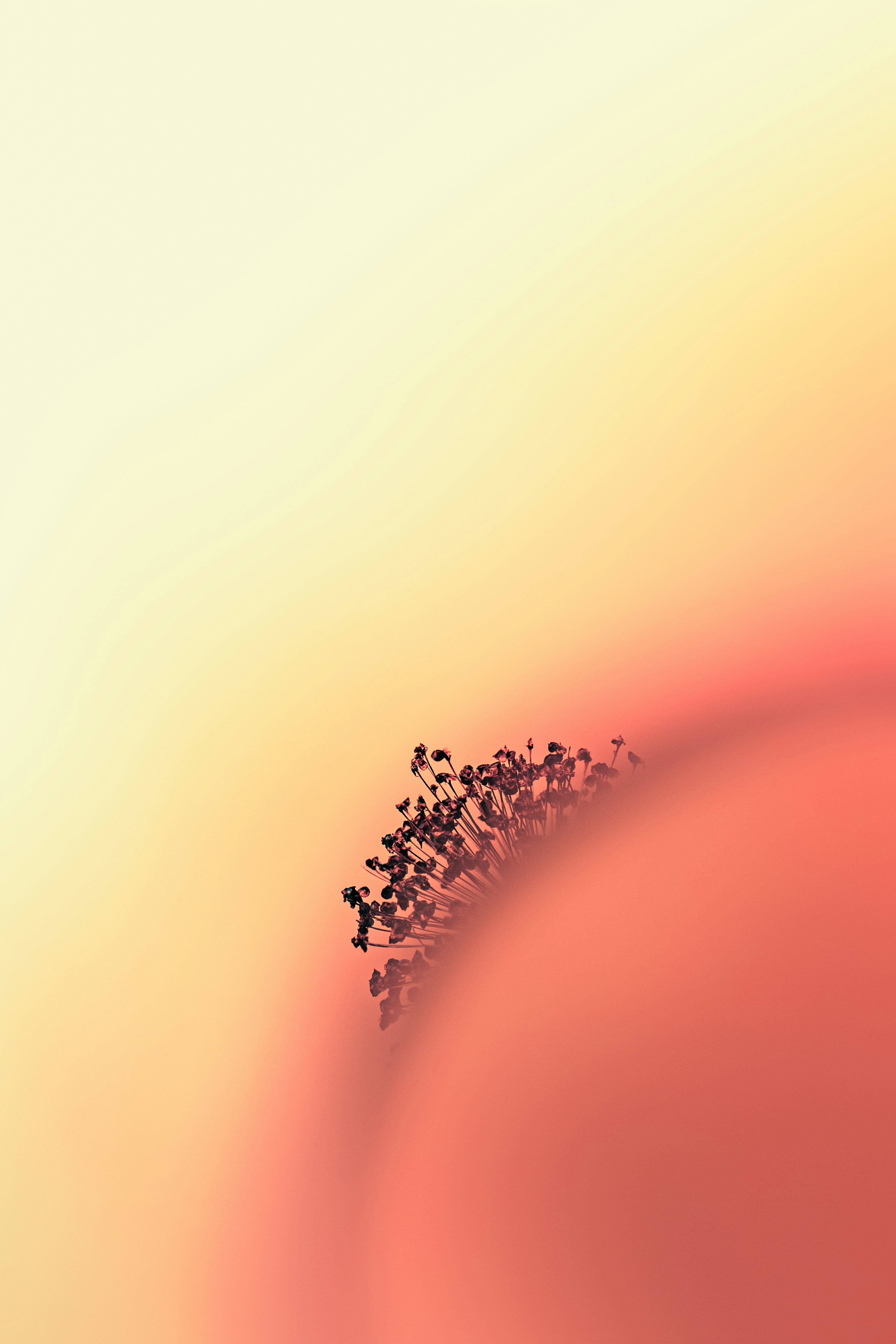 Photo by marekpiwnicki