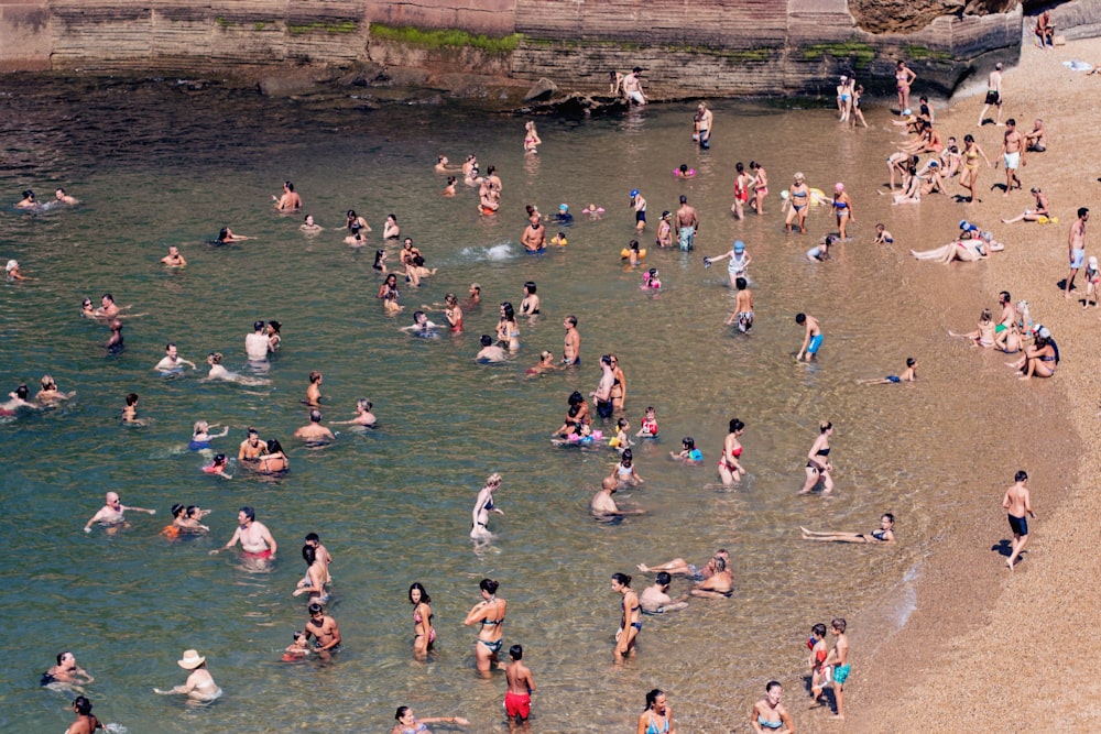 people in water during daytime