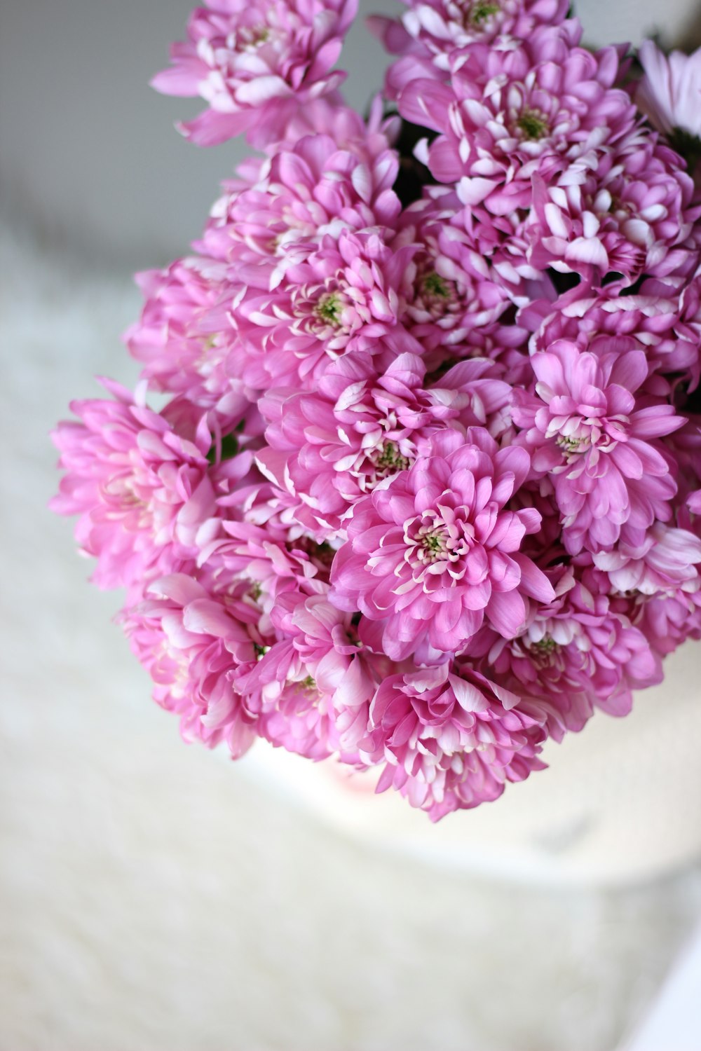 pink flowers on white table