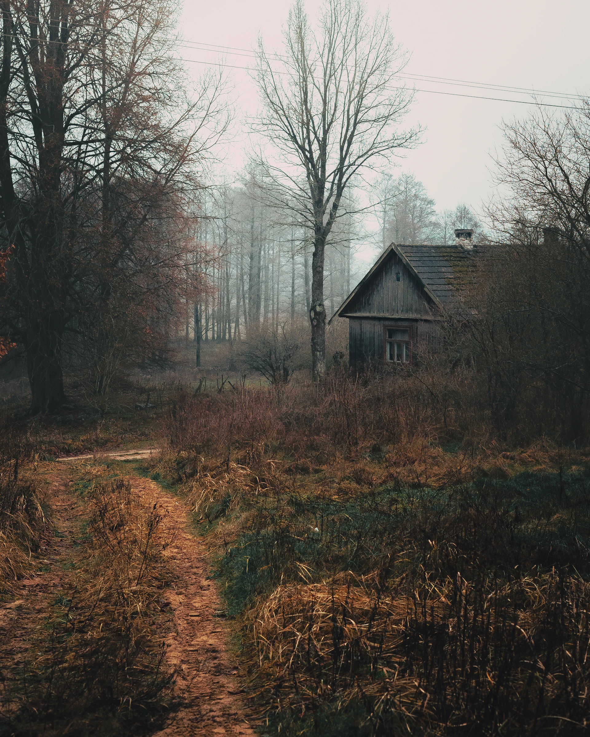 a dirt path leading to a house in the woods