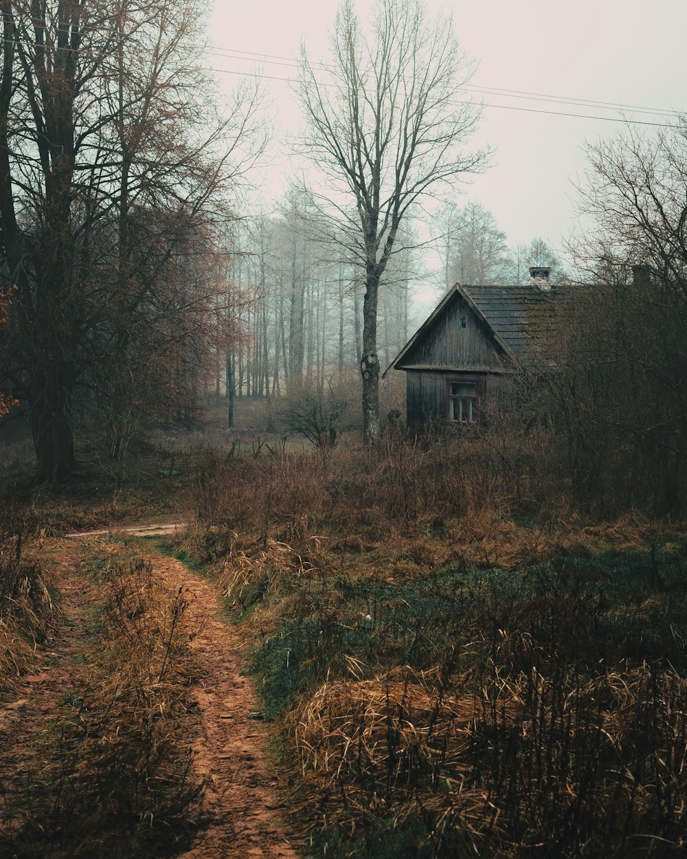 a dirt path leading to a house in the woods