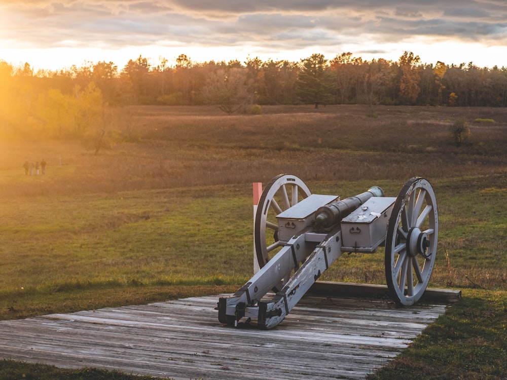 black and gray canon on gray wooden dock during daytime