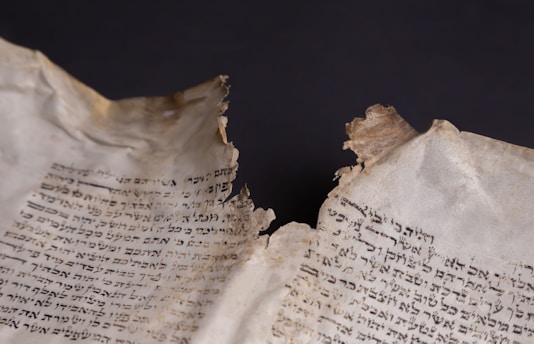 A close-up of an ancient, torn parchment displaying handwritten text in Hebrew script. The edges of the parchment are frayed and browned, suggesting age and wear. The text is in black ink against a light yellowed background, with the tear creating a dramatic line through the middle.