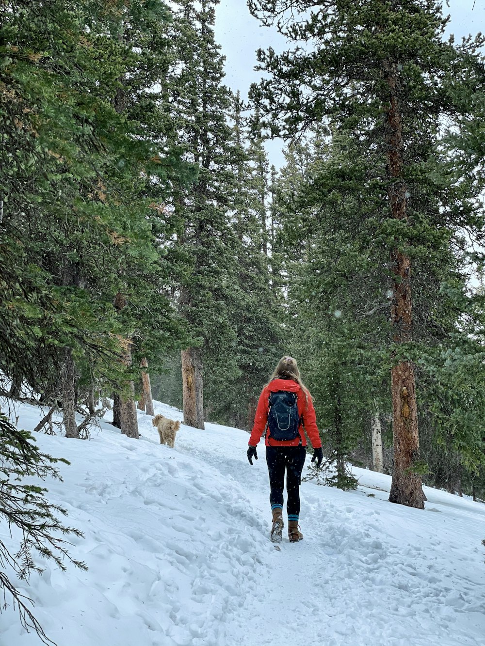 woman in brown jacket and black pants walking on snow covered ground near green trees during