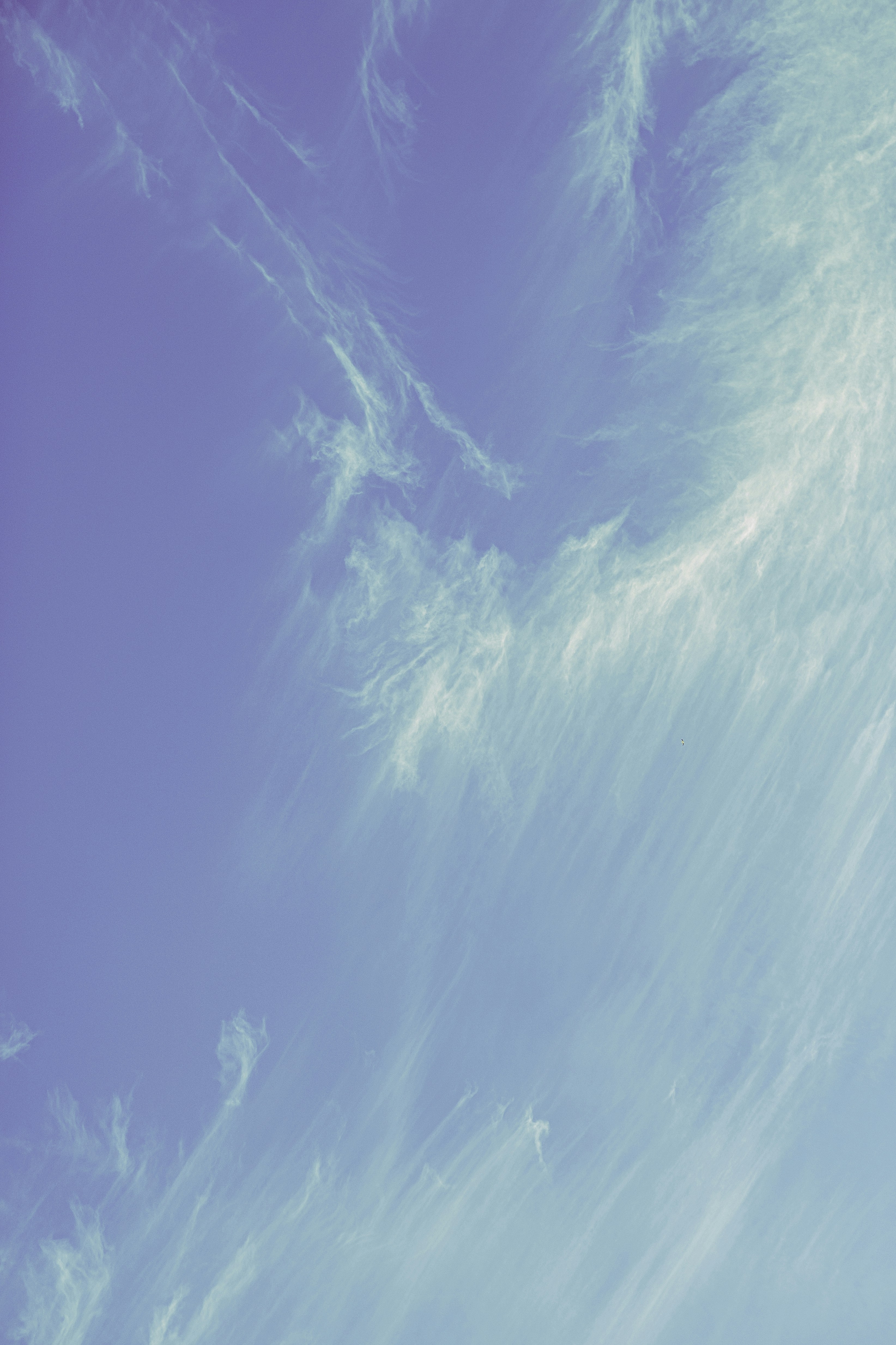 Photo by martindearriba