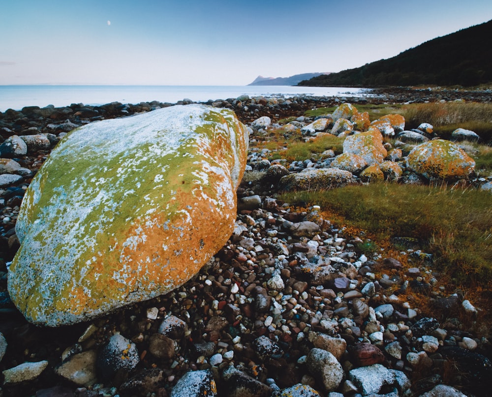 brown rock on rocky shore during daytime