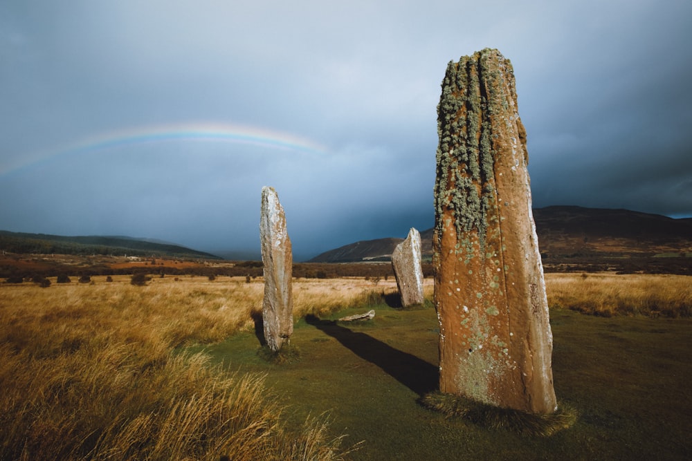 gray rock formation on brown grass field under white clouds during daytime