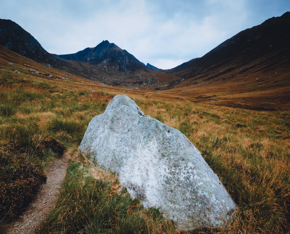 gray rock formation on brown grass field during daytime