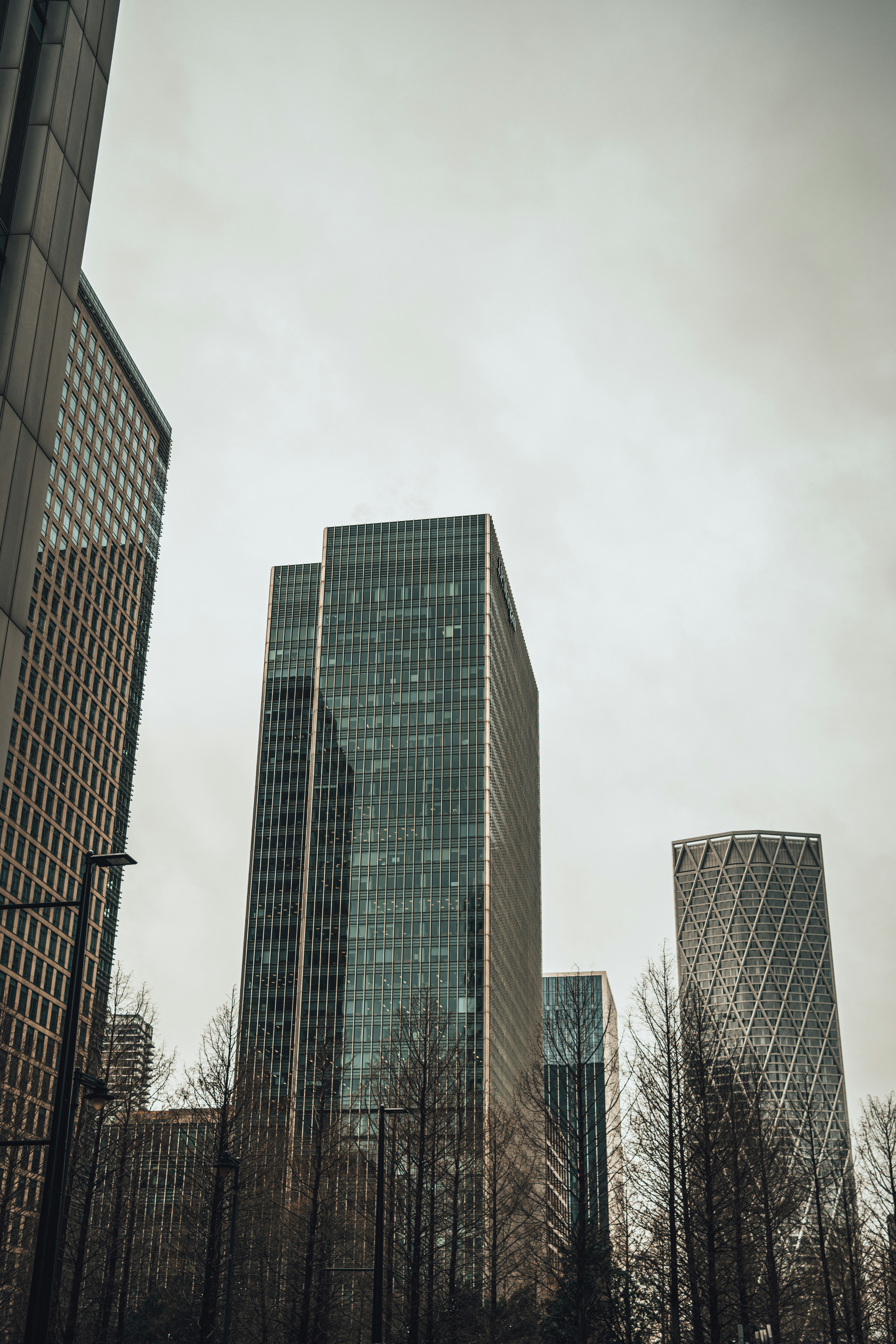 Photo by orangetiephotography