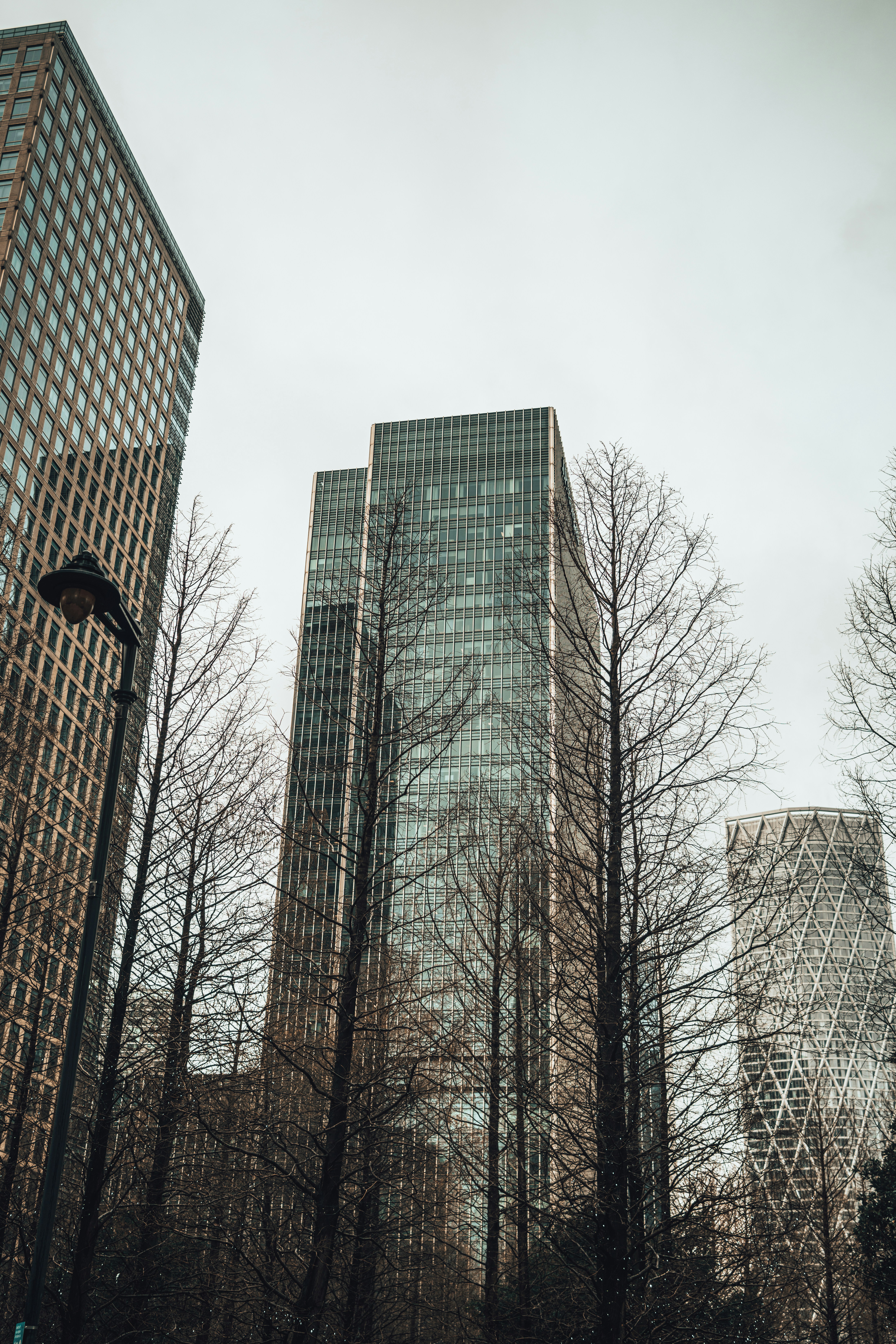 Photo by orangetiephotography