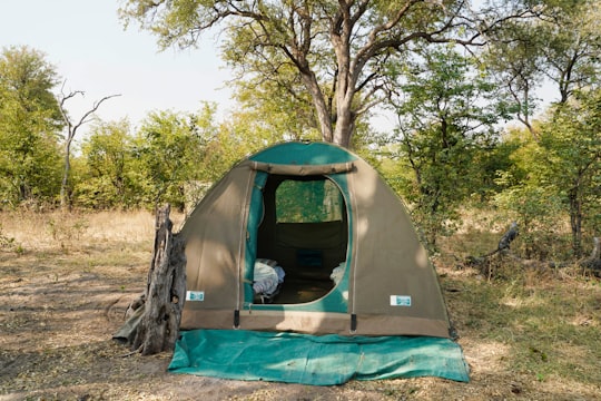 green and gray tent on green grass field during daytime in Okavango Delta Botswana