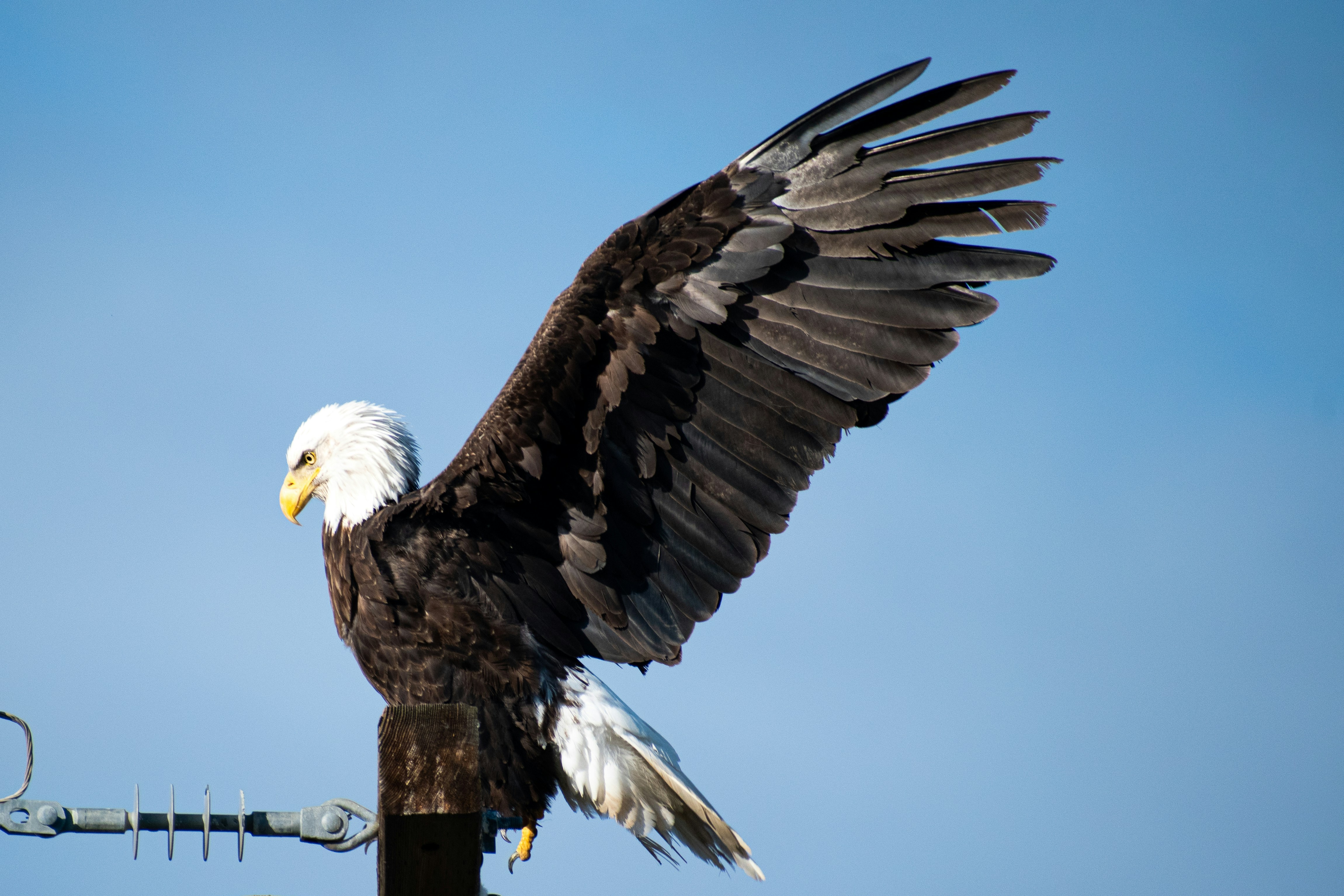 Photo by elisastonephotography