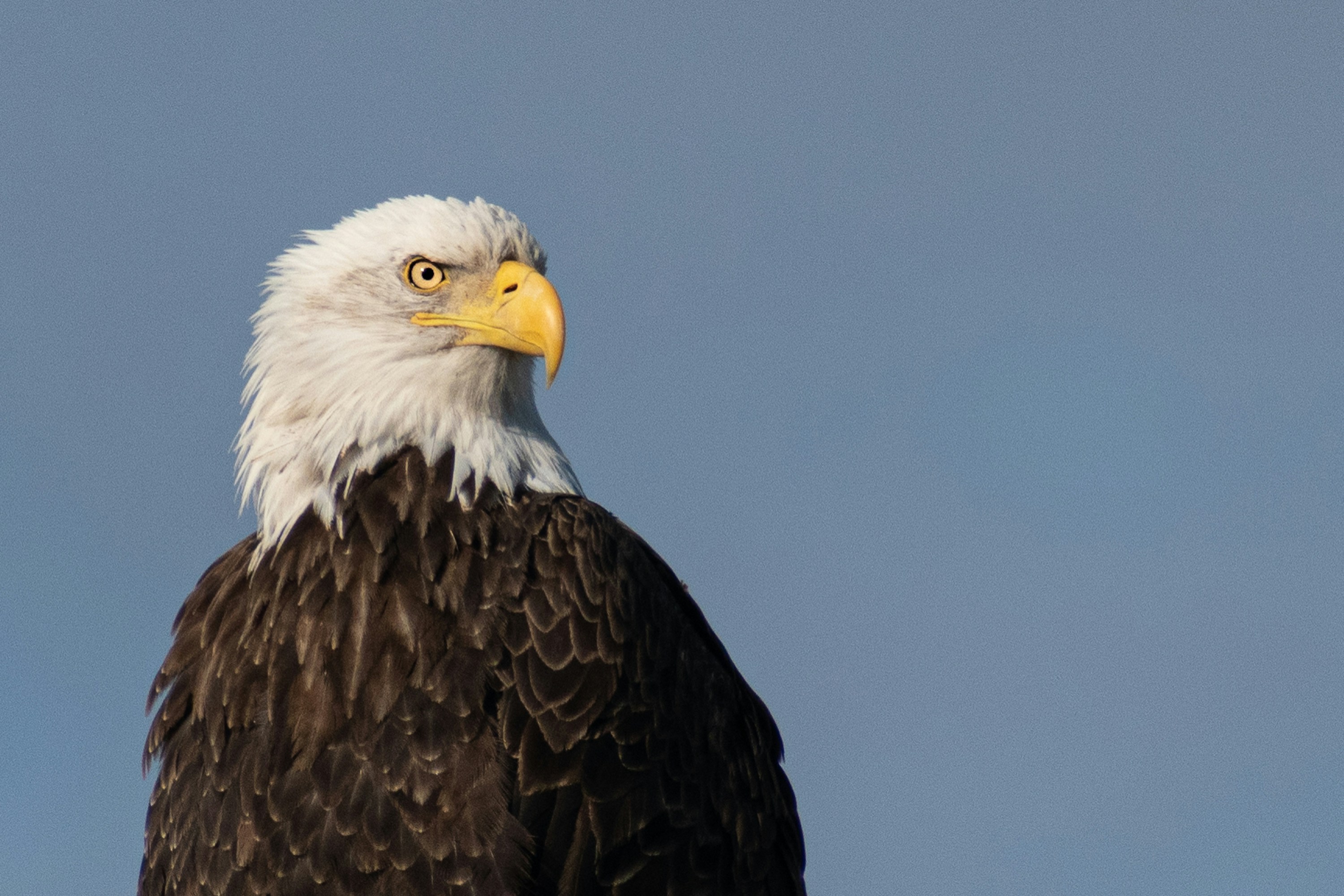 Photo by elisastonephotography