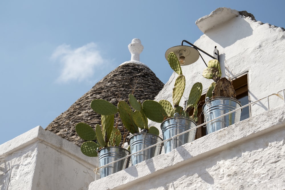 white and brown concrete building