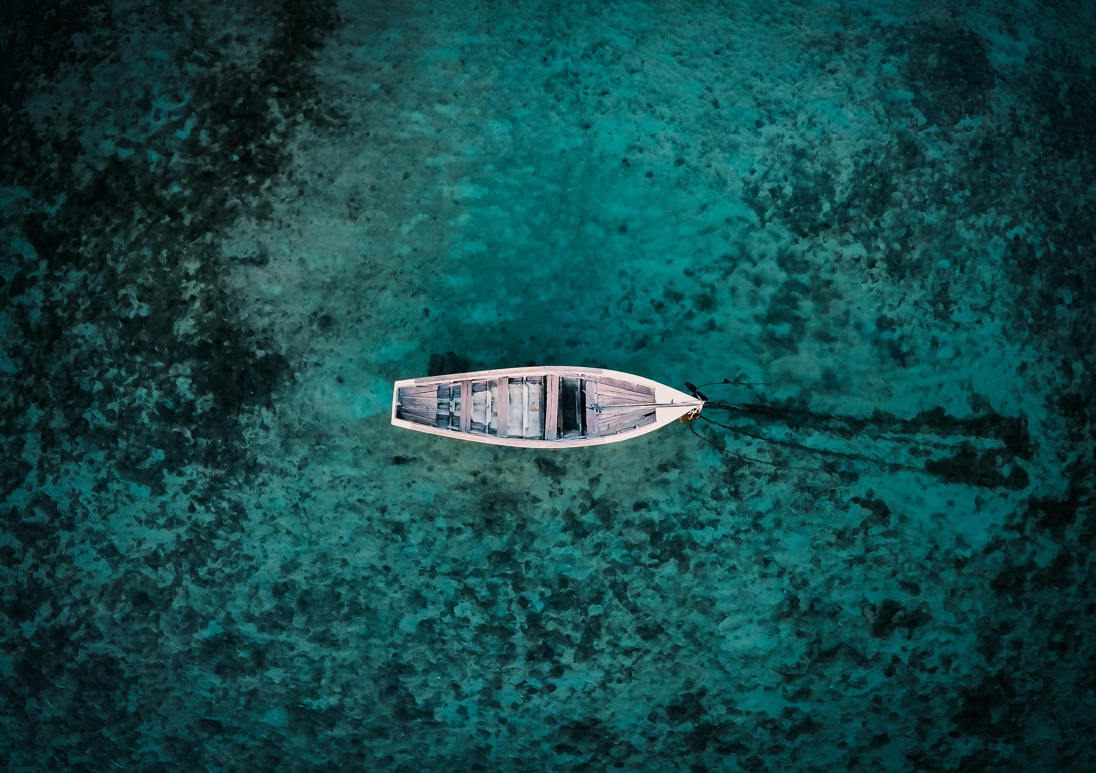 white boat on body of water