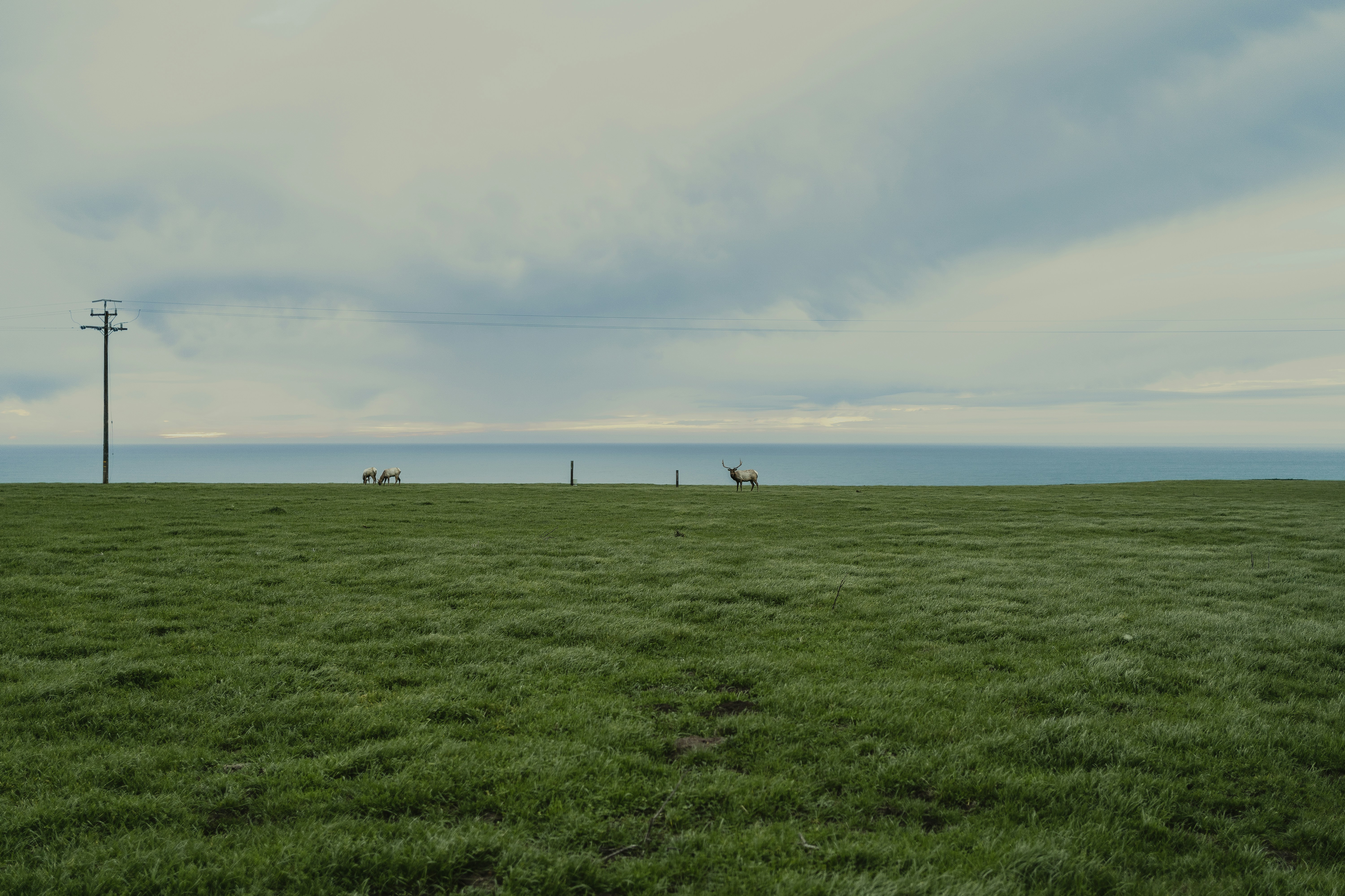 Photo by slavromanov