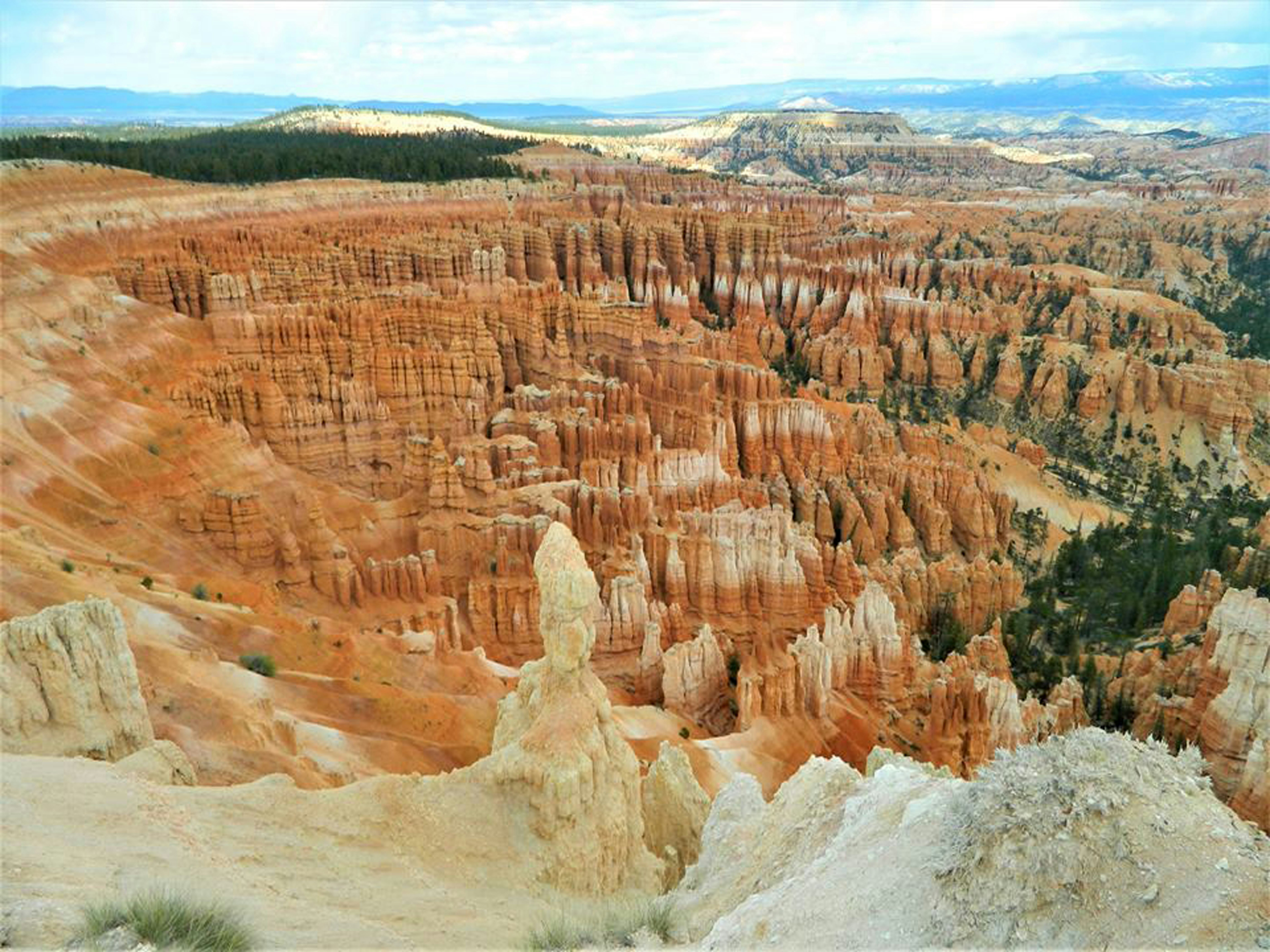 Photo by dan_oakes418