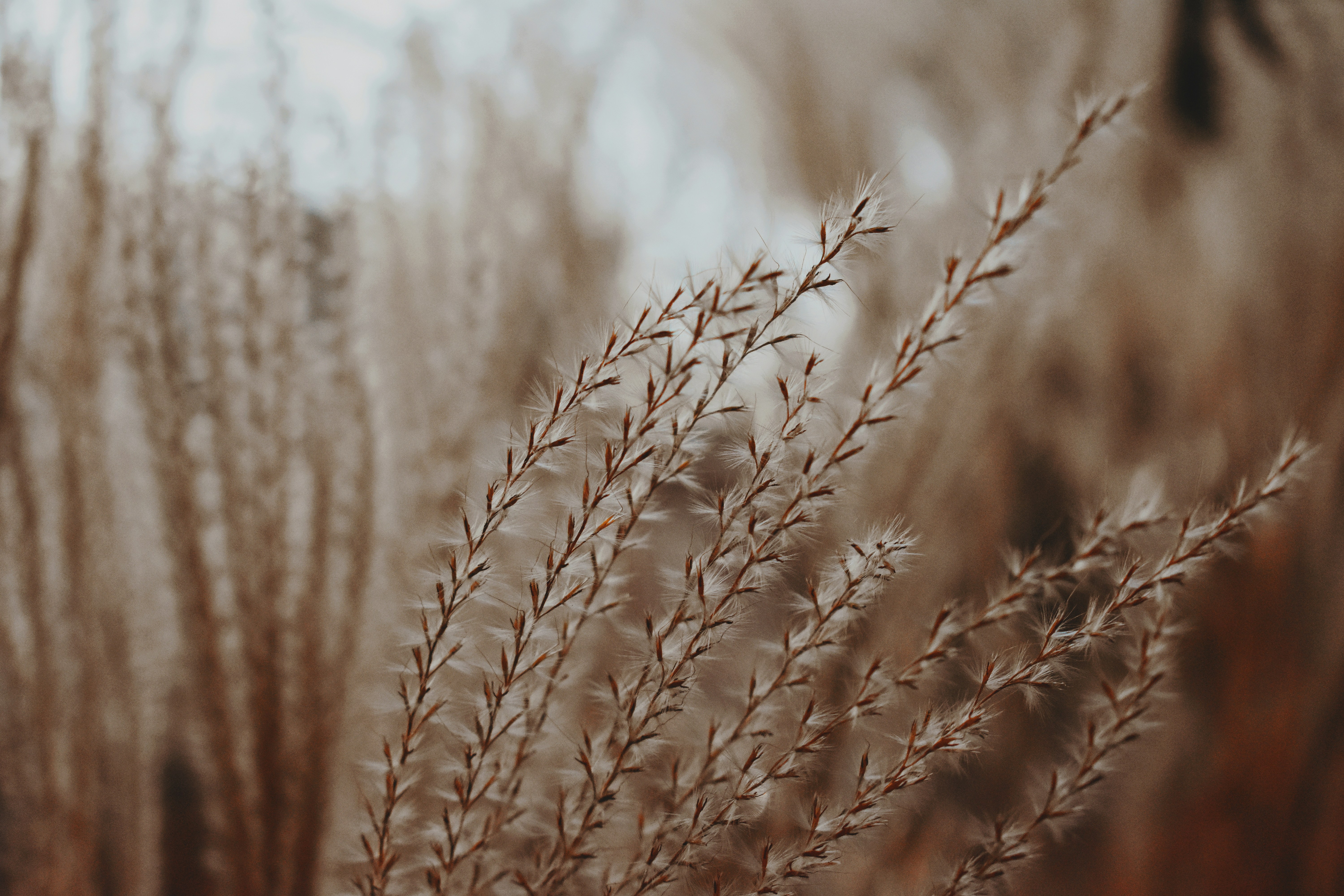 Photo by rickyadomingos