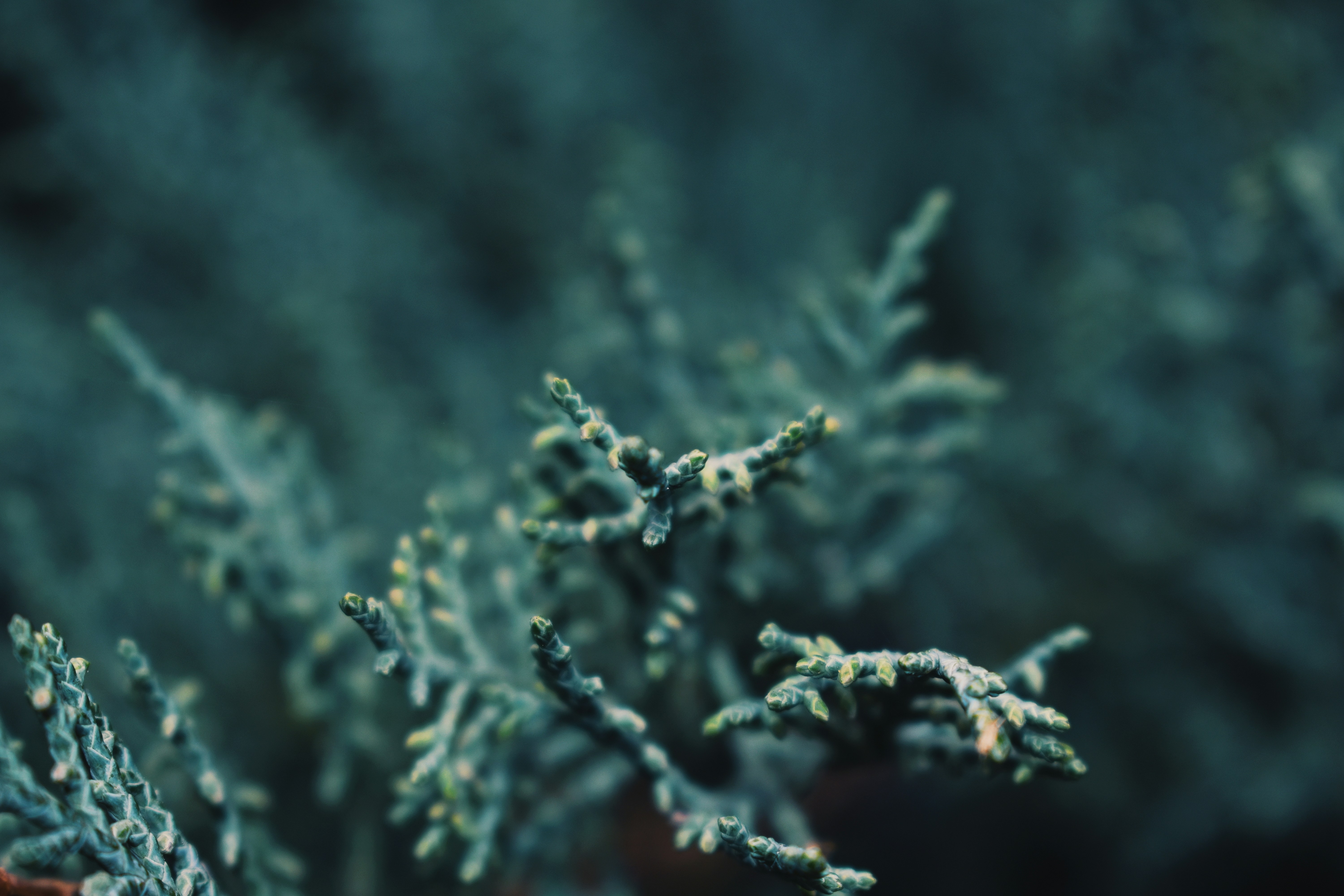 Photo by rickyadomingos