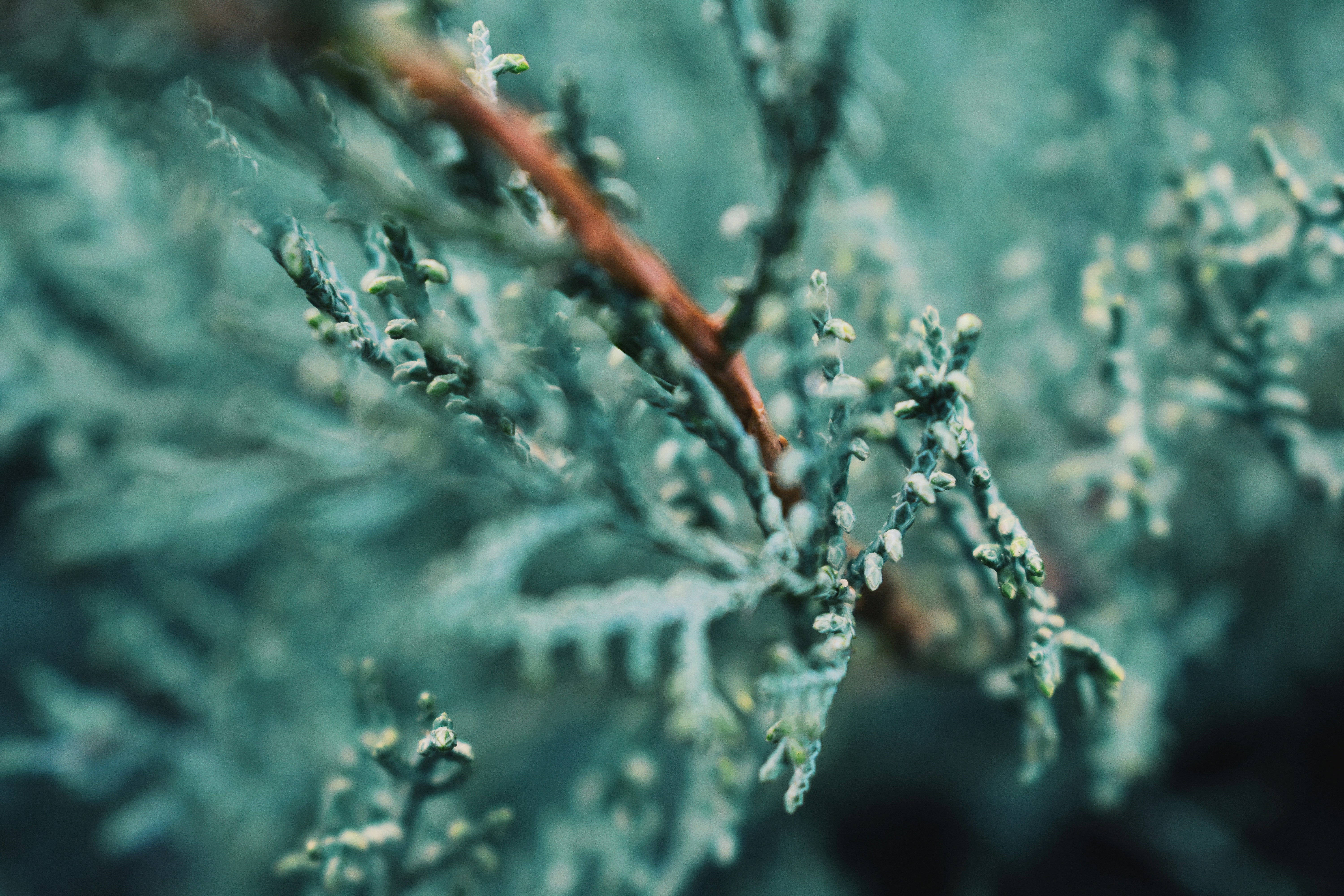 Photo by rickyadomingos