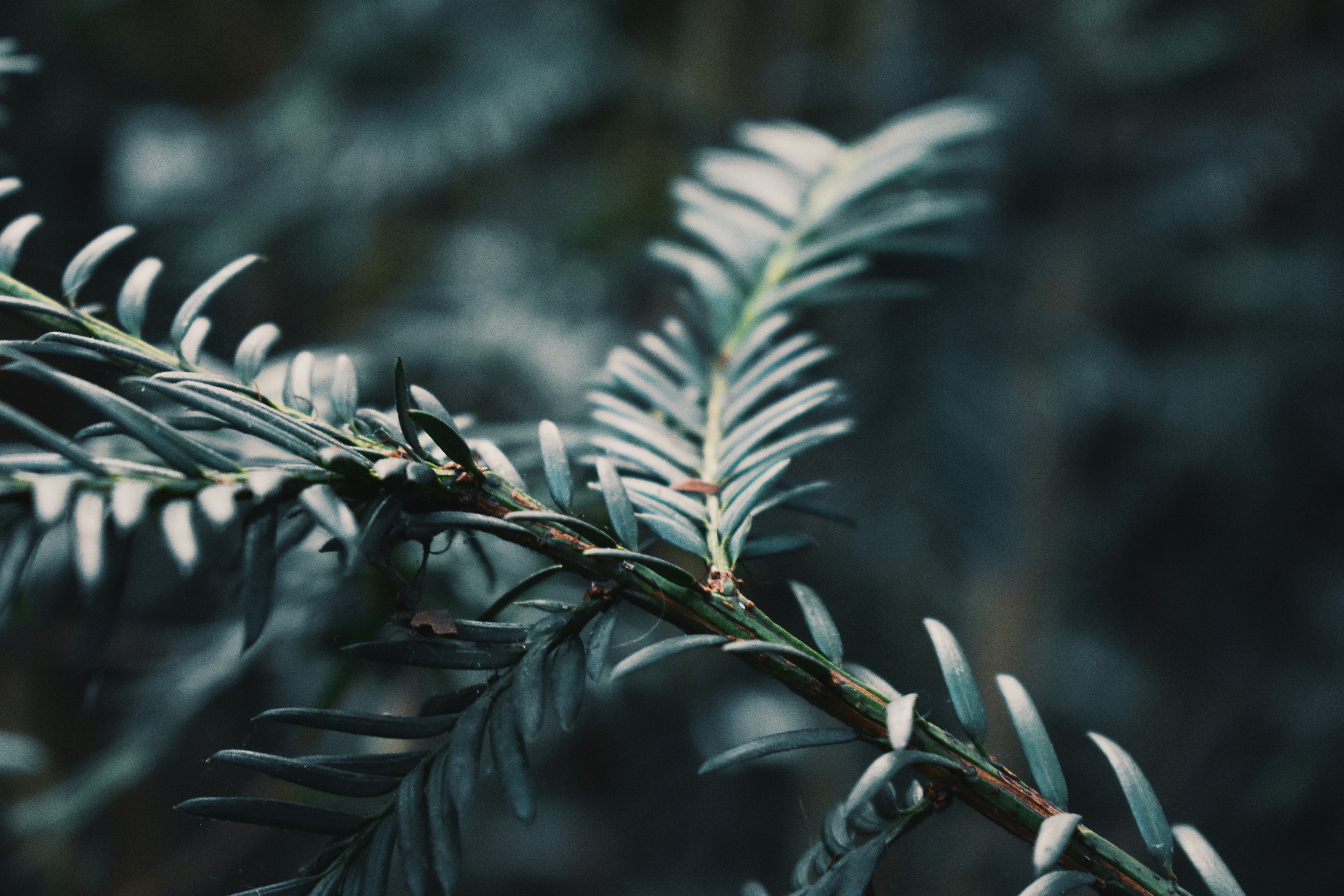 Photo by rickyadomingos