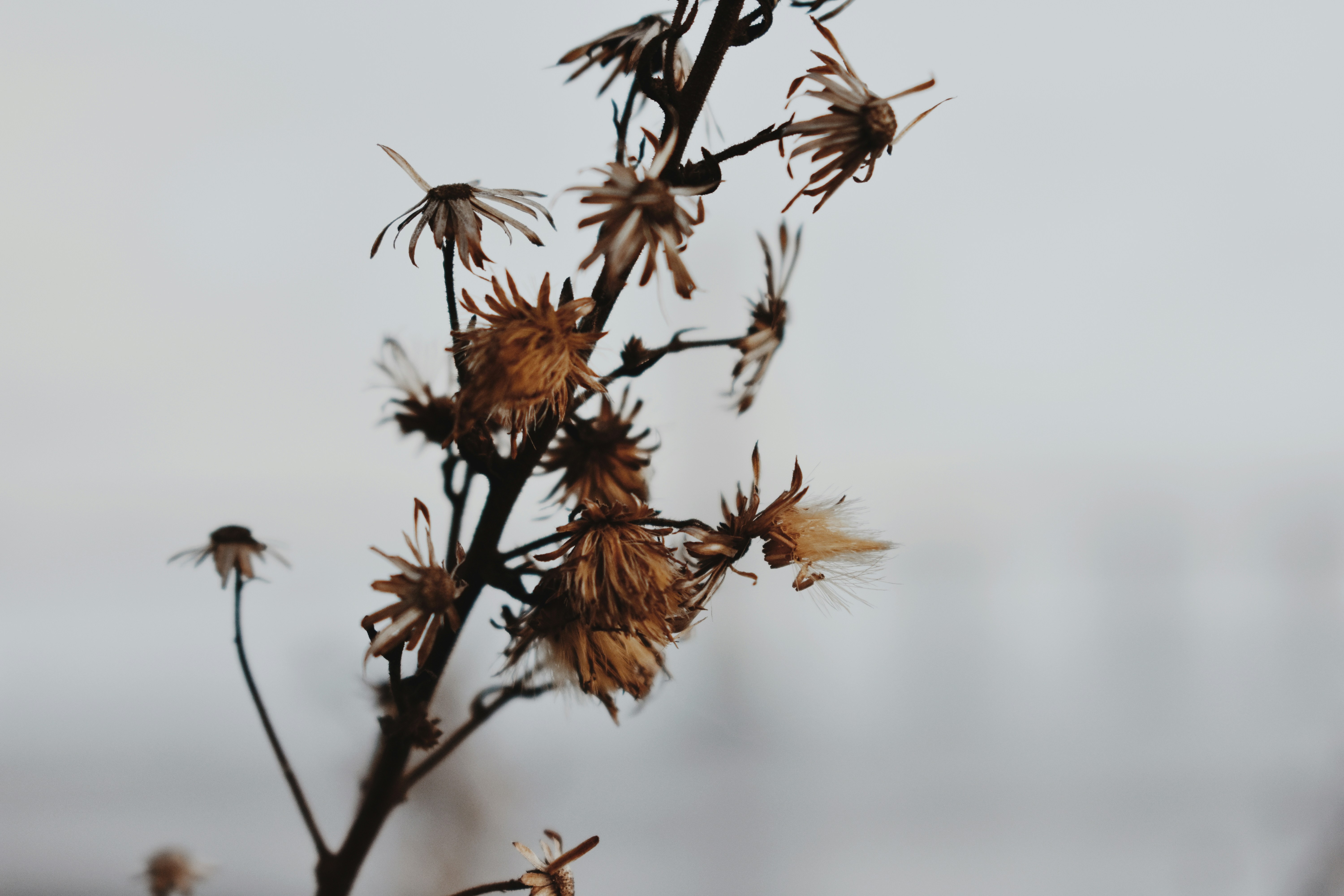 Photo by rickyadomingos