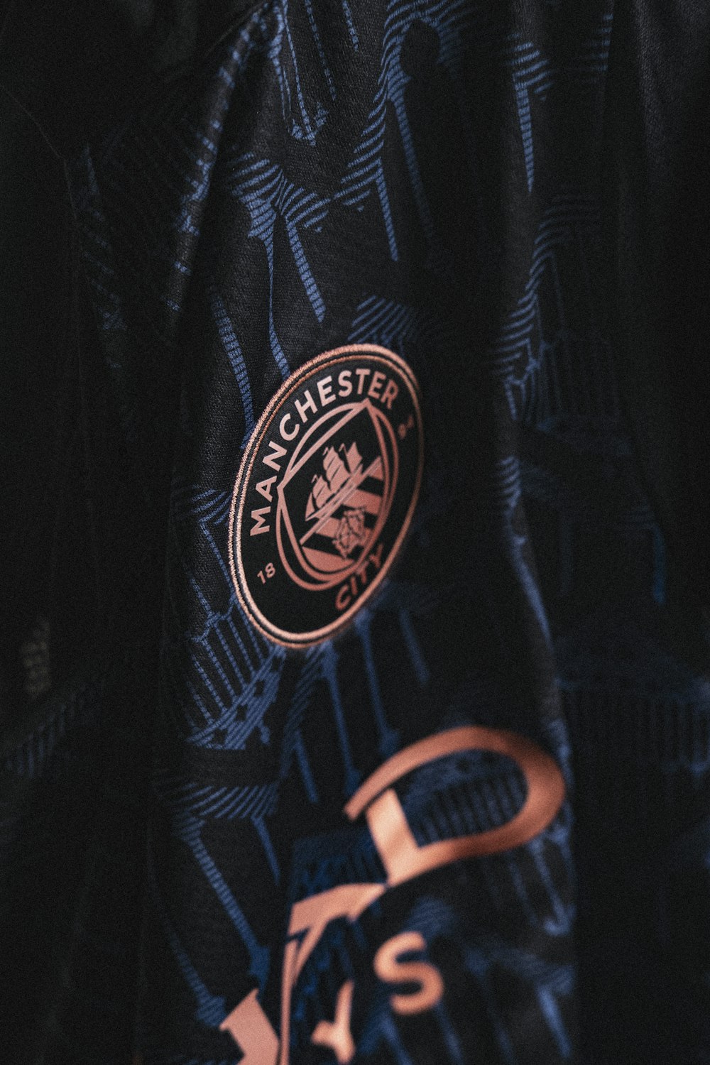 a close up of a man's jacket with a badge on it