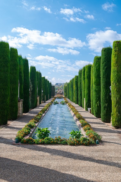 Jardines del Alcázar de los Reyes Cristianos - Des de Center, Spain