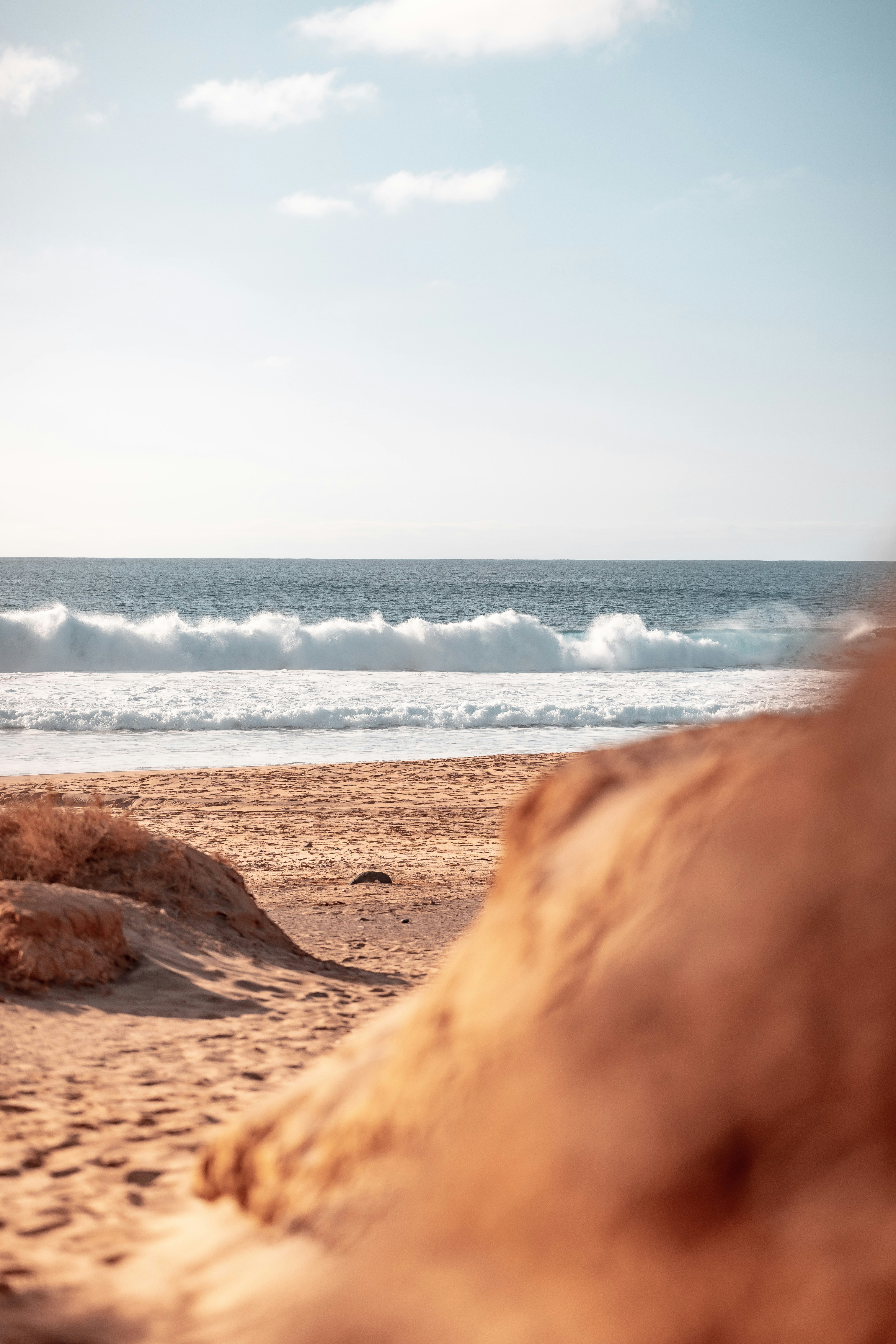 Photo by janoschphotos