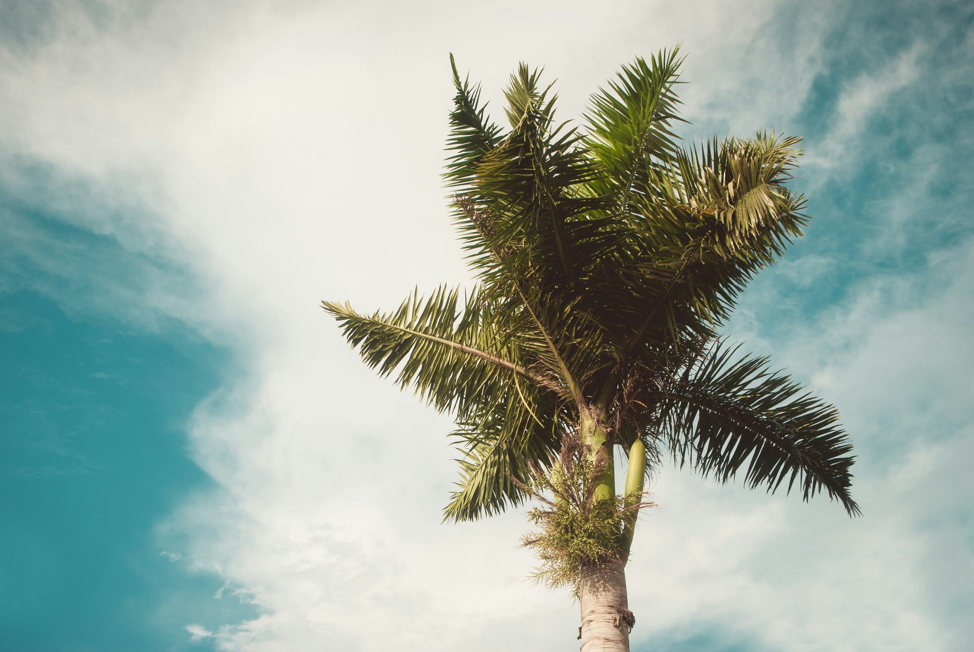 Photo by jorgezapatag