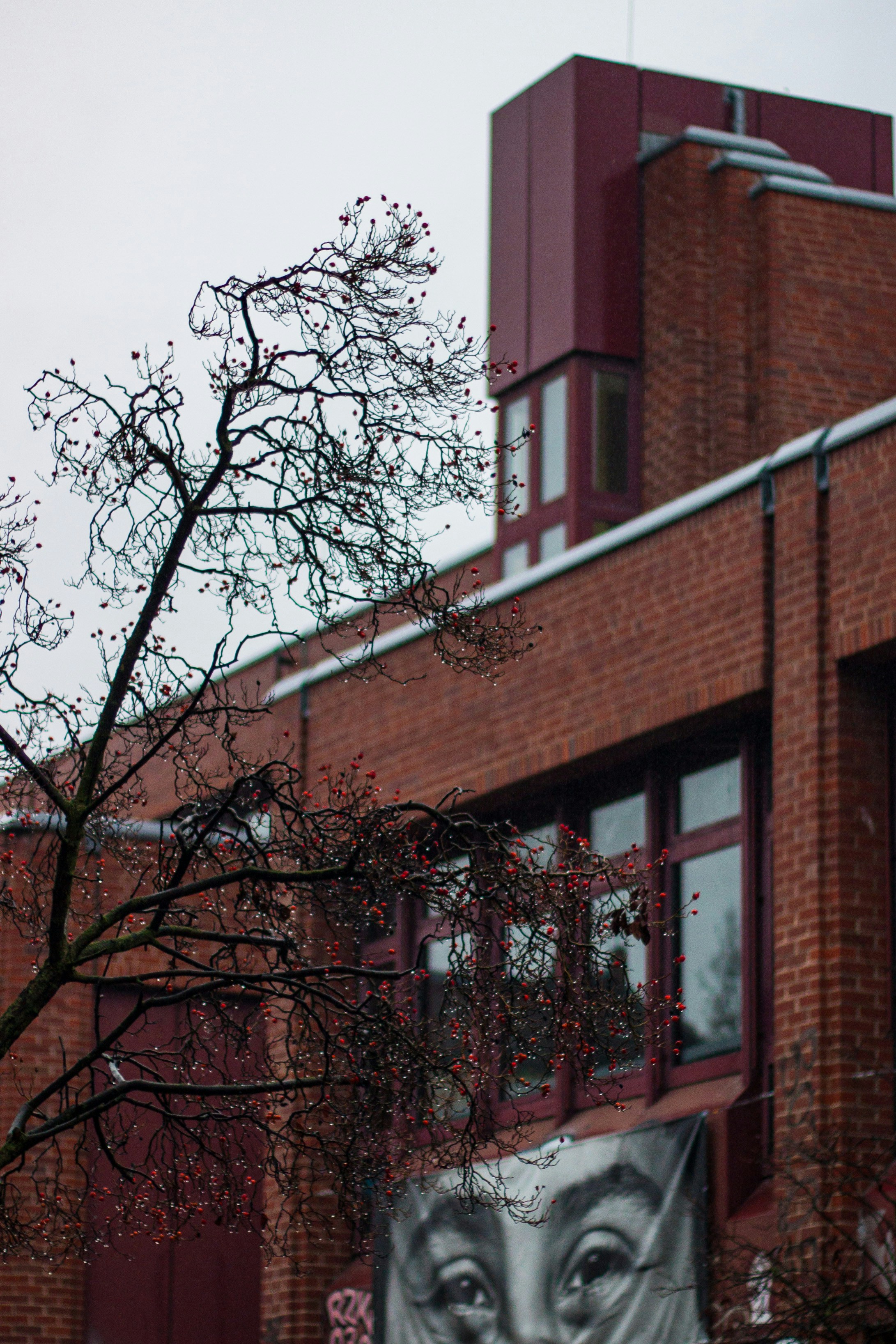 Photo by thulfiqarali