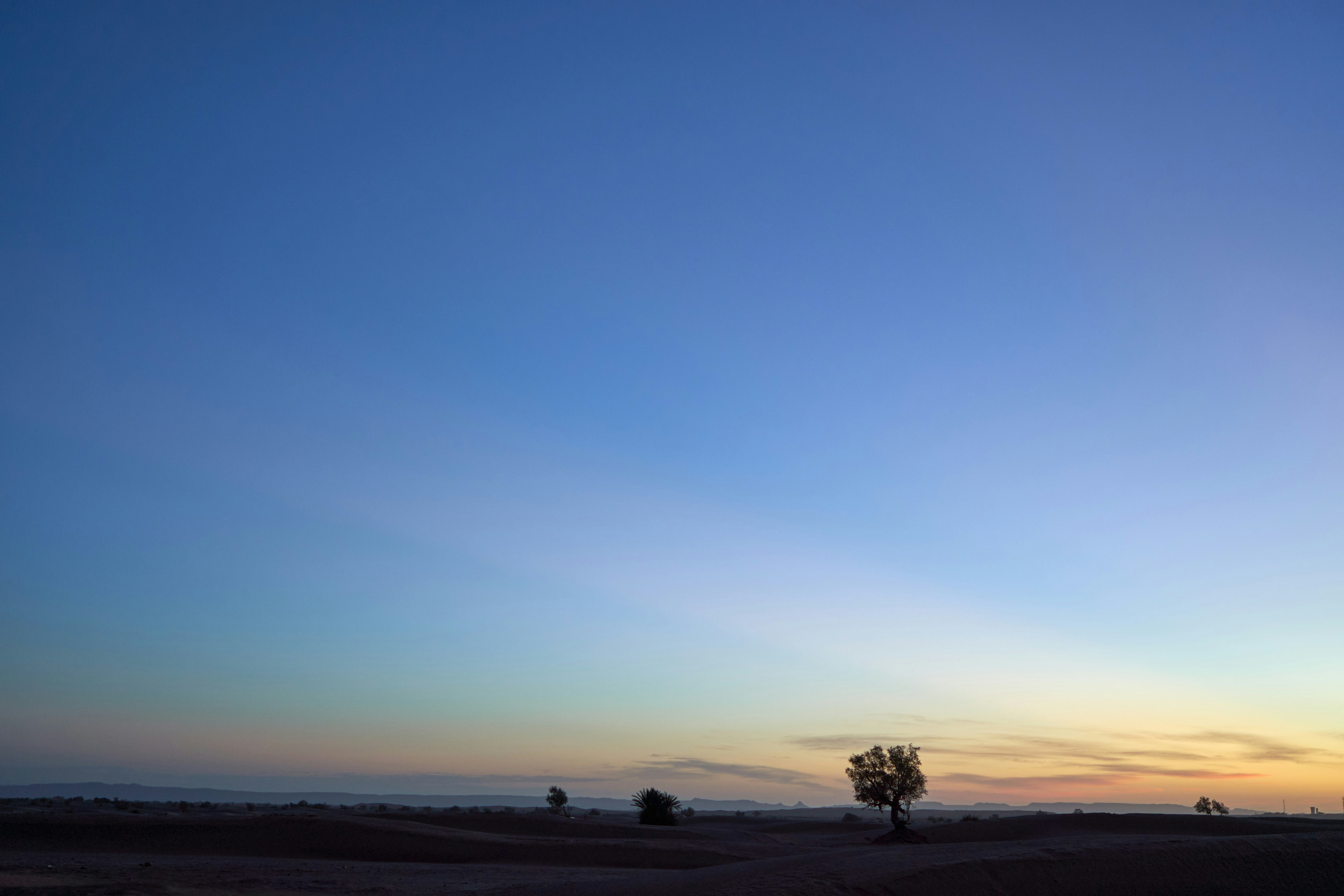 Photo by wolfgang_hasselmann