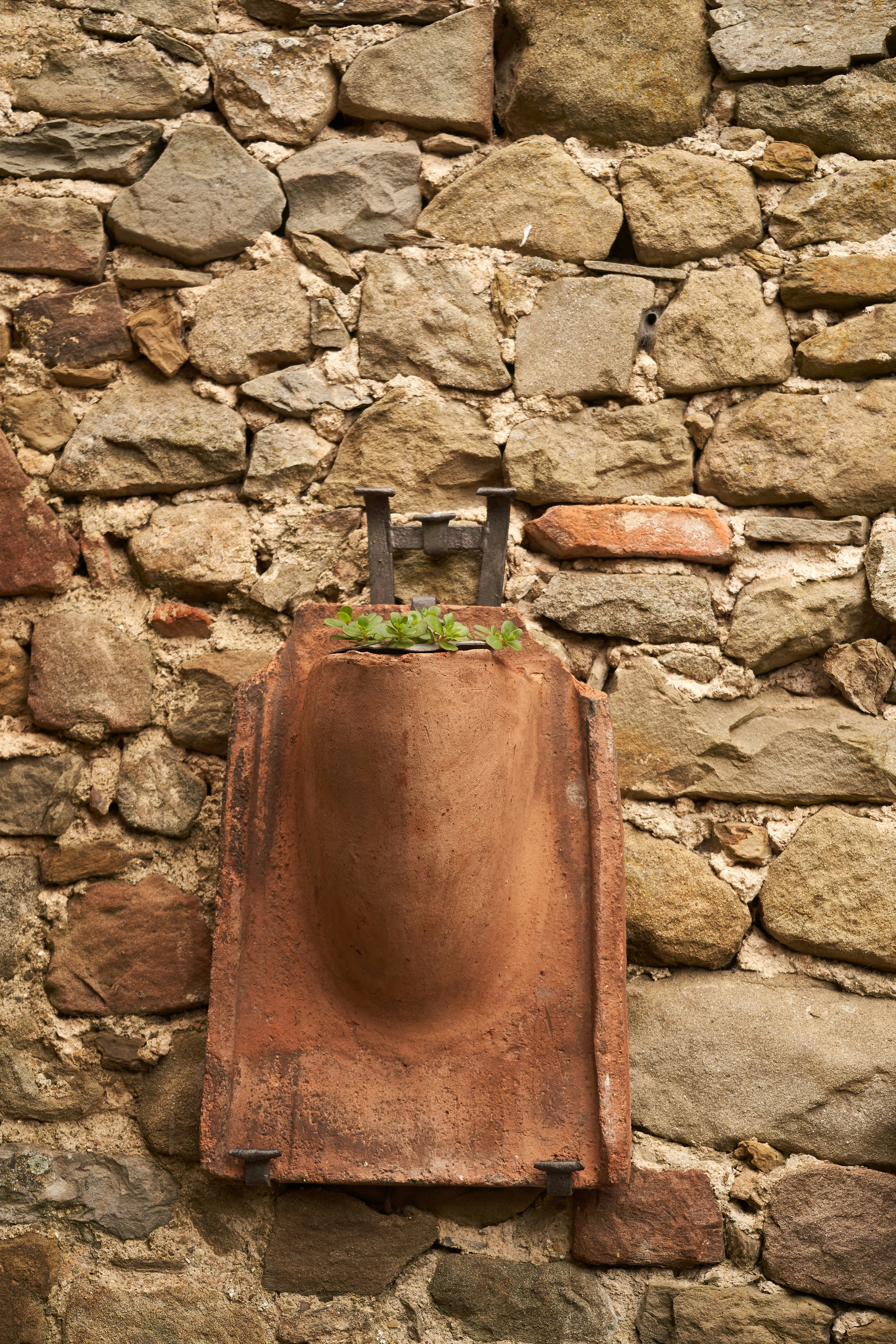 Photo by wolfgang_hasselmann