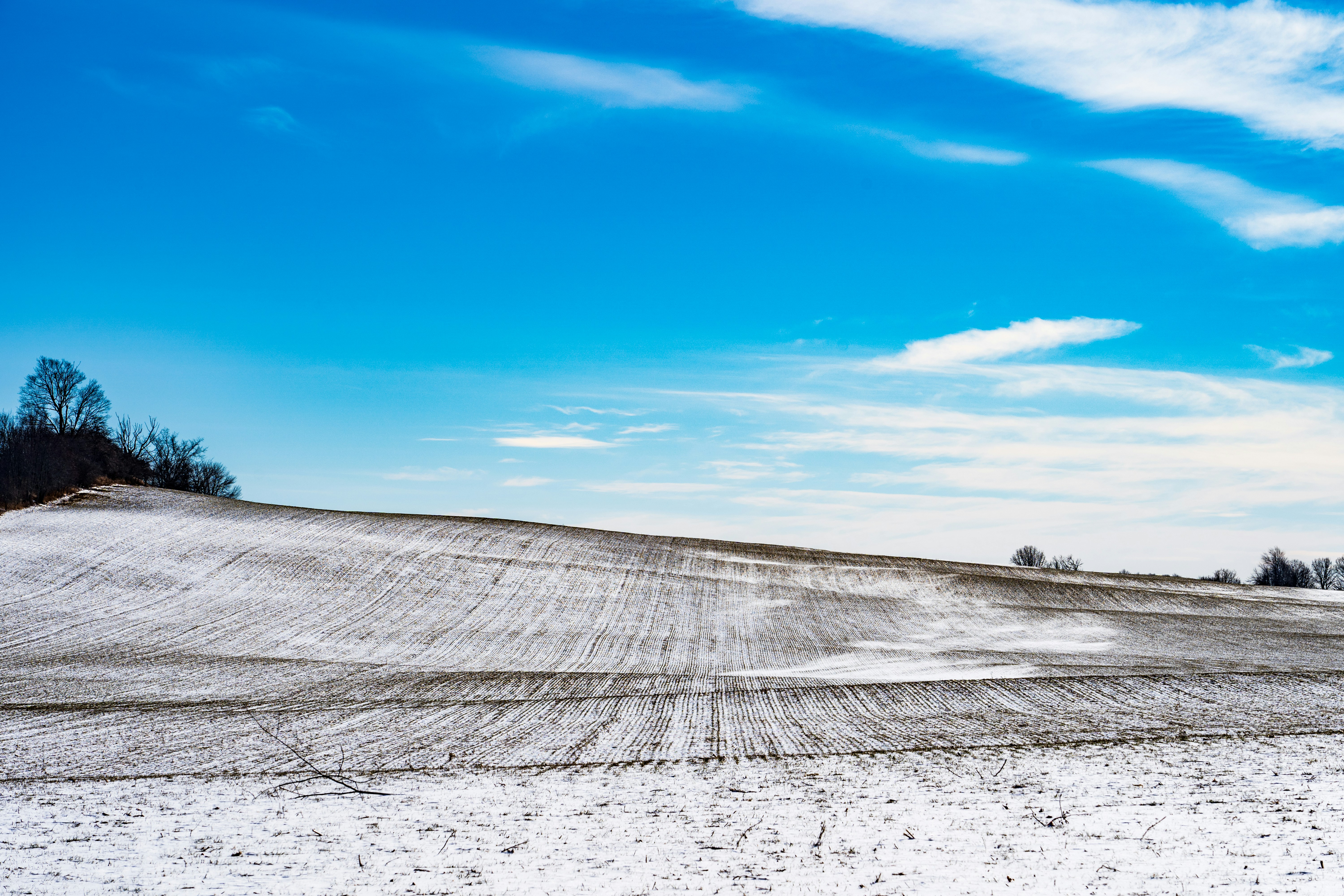 Photo by chris_robert