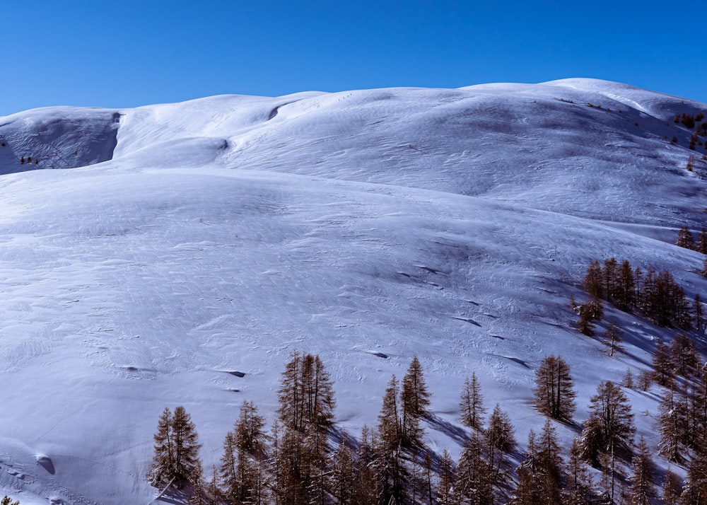 snow covered mountain during daytime