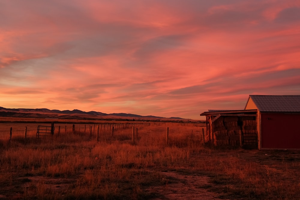 brown wooden shed on brown grass field under cloudy sky during daytime