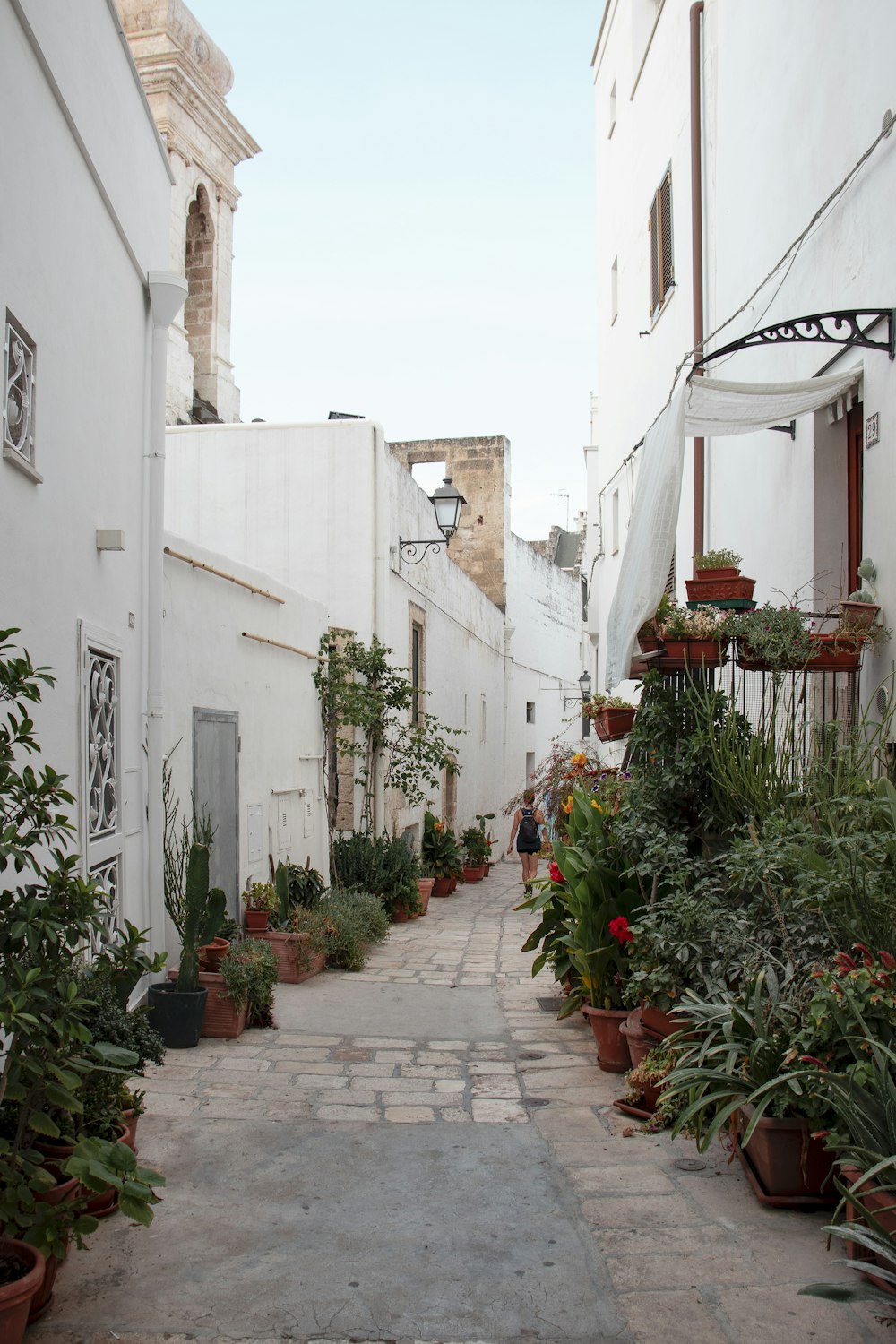 green plants on white concrete building