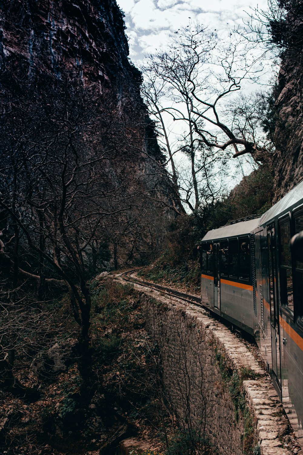 white train on rail near trees during daytime