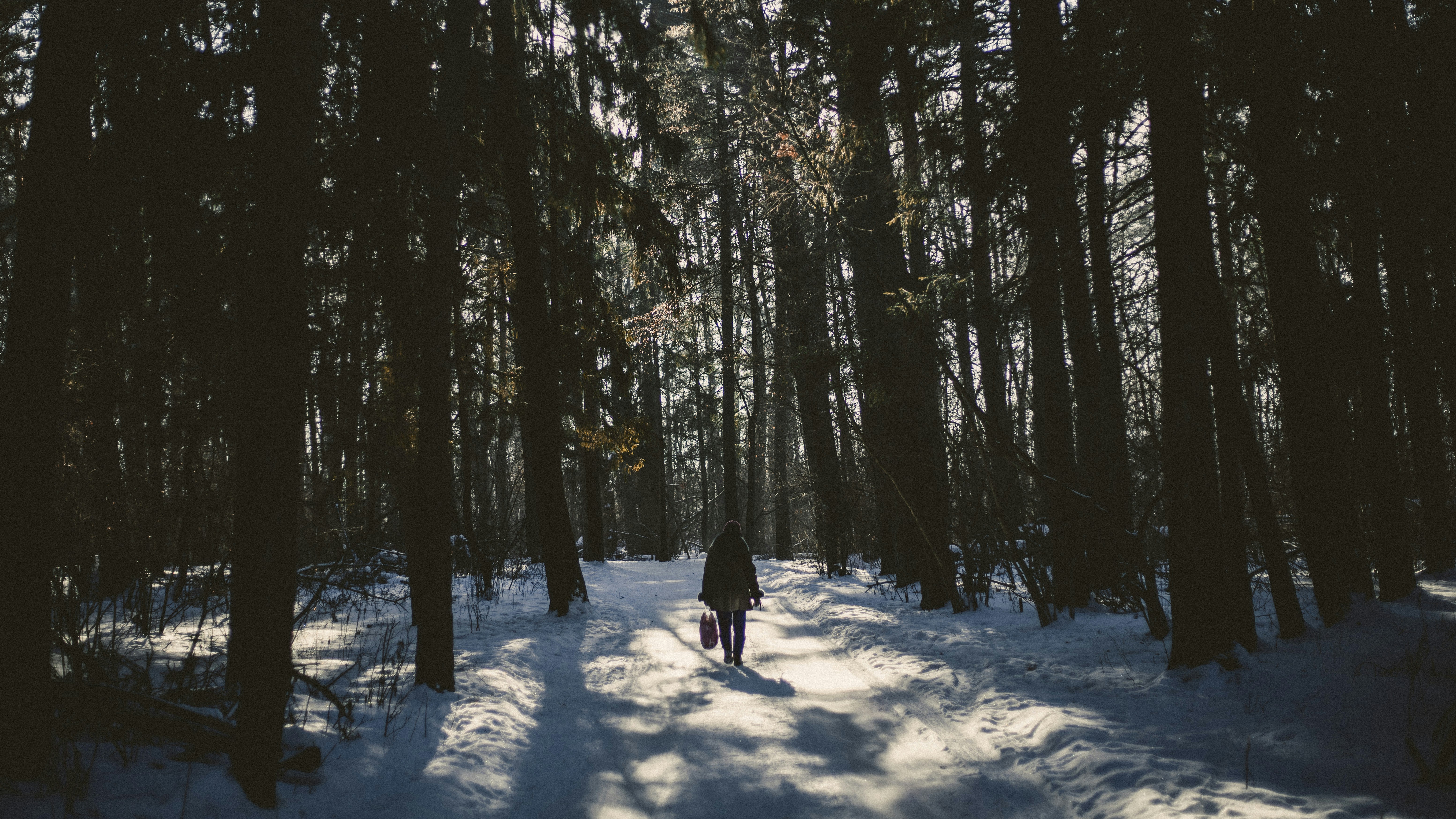 Photo by masaarakshas
