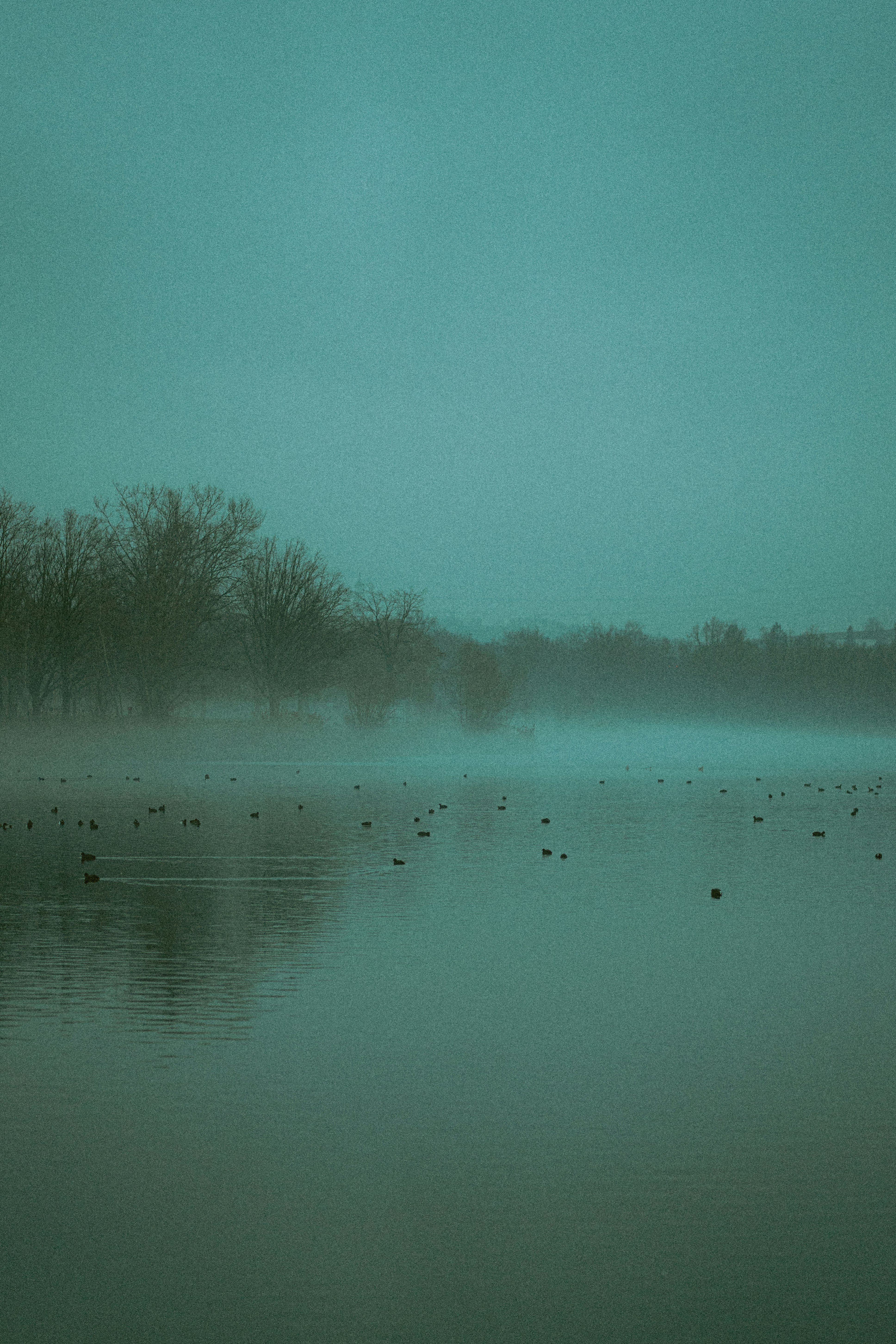 Photo by leoniezettl