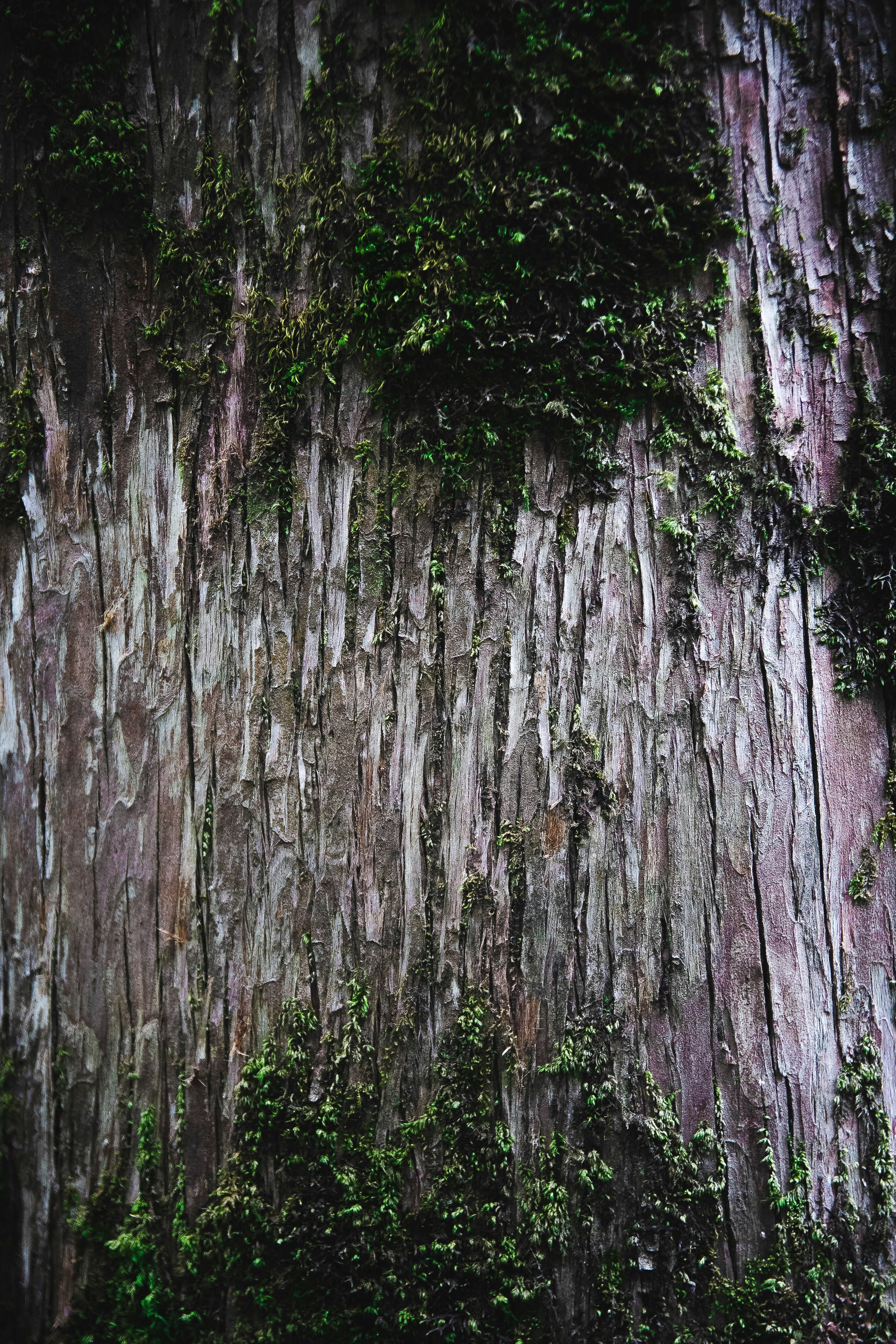 Photo by sirisvisual