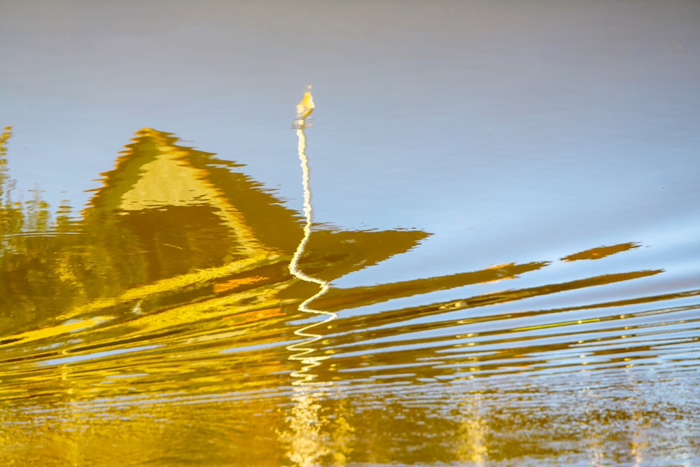 reflection of man on water