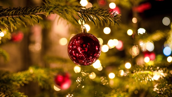 An ornament hangs from a Christmas tree 